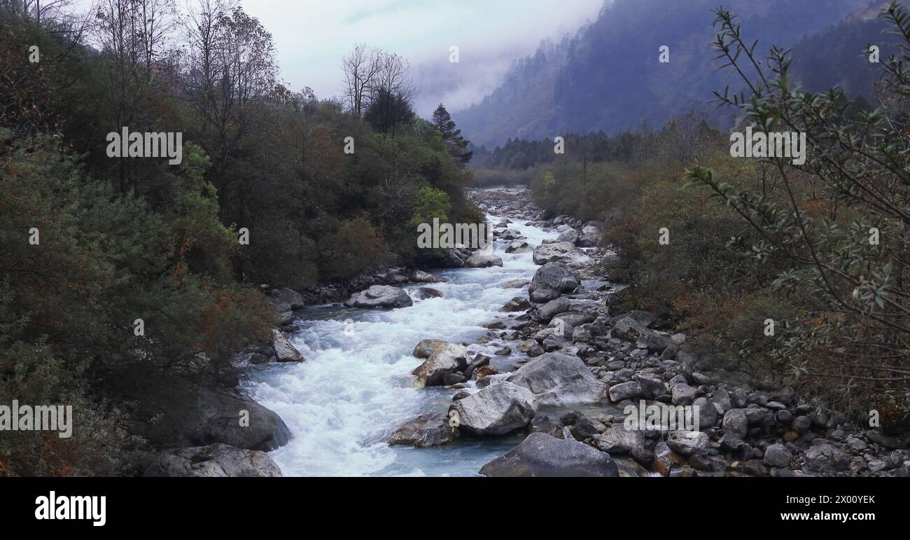 Gebirgsfluss Lachung Chu, der durch den Wald auf den Ausläufern des himalaya in der Nähe der Bergstation Lachung im Norden von sikkim, Nordosten indiens fließt Stockfoto