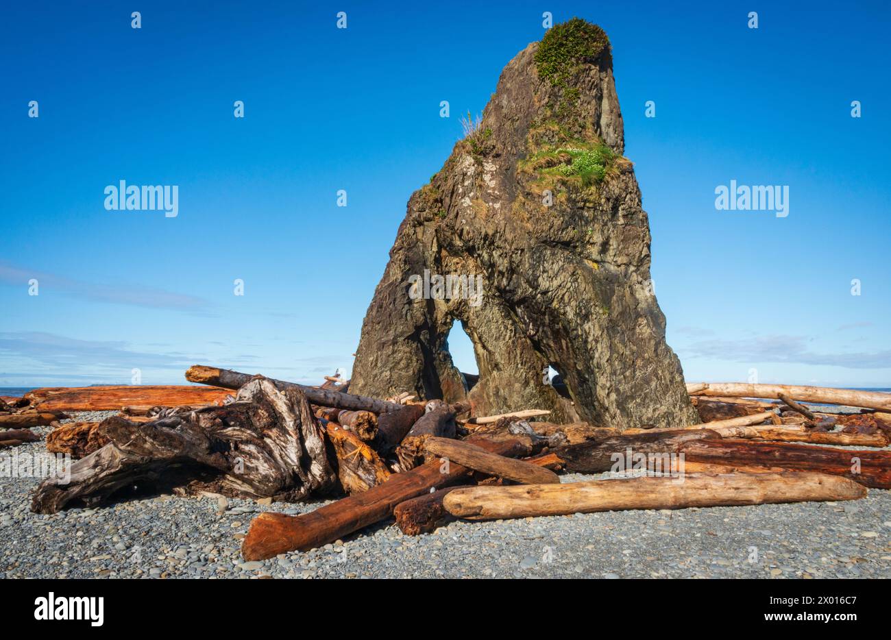 Ruby Beach erodierte Rock Arch im Olympic National Park, Washington State, USA Stockfoto