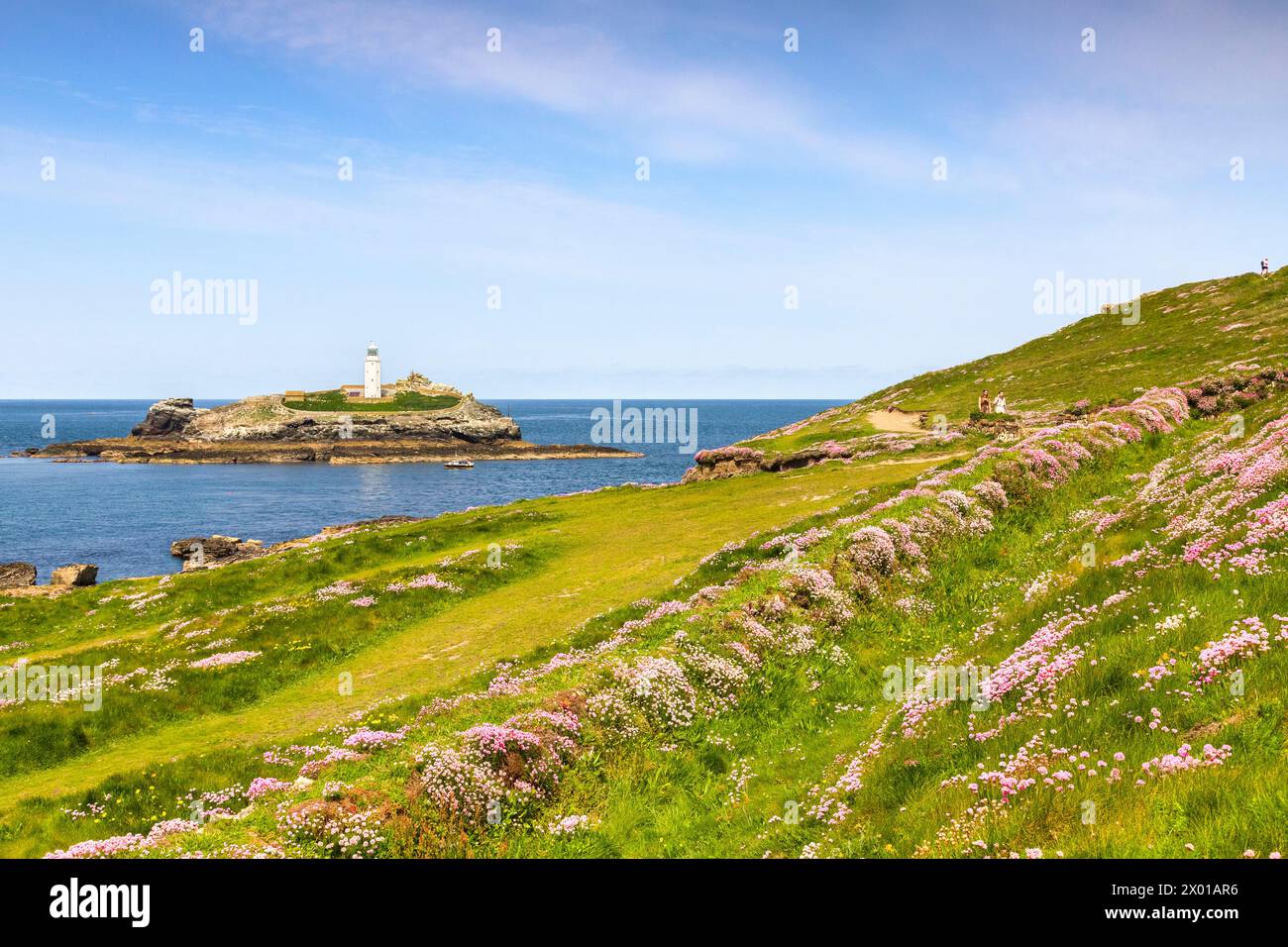 18. Mai 2023: Godrevy Head, Cornwall, Vereinigtes Königreich - Godrevy Head und Godrevy Lighthouse an einem sonnigen Frühlingstag und eine Fülle von blühenden Seegründen. Stockfoto