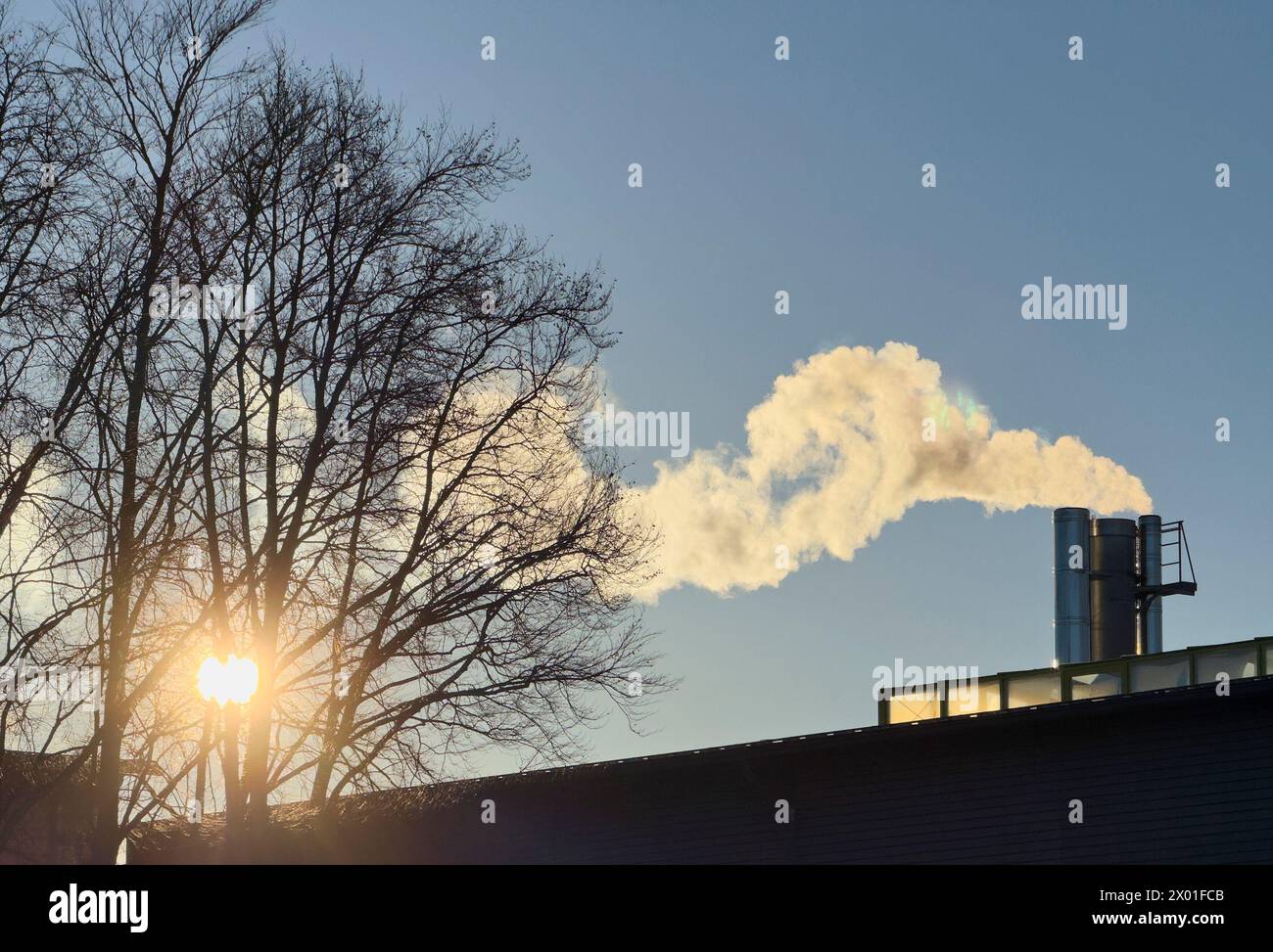 Rauchschornsteine an einem kalten Wintertag in Marktoberdorf, Allgaeu, Bayern, Deutschland, 24. Februar, 2024. Fotograf: ddp-Bilder / STAR-Bilder Stockfoto