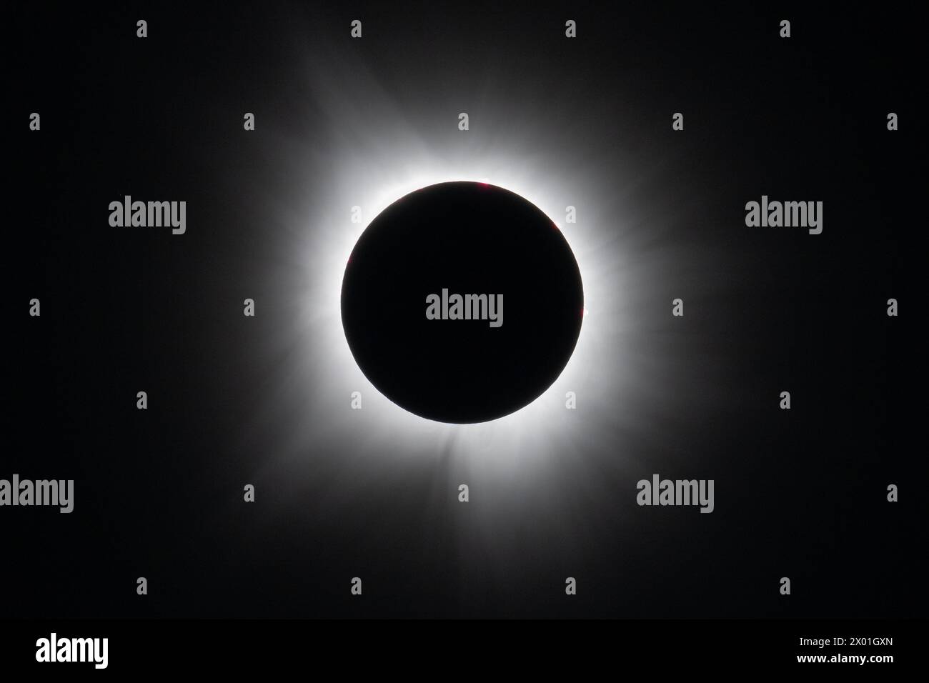 Am 8. April 2024 wurde in Dallas, Texas, eine totale Sonnenfinsternis beobachtet. Eine totale Sonnenfinsternis fegte über einen schmalen Teil des nordamerikanischen Kontinents von der Pazifikküste Mexikos bis zur Atlantikküste Neufundlands, Kanada. Eine partielle Sonnenfinsternis war auf dem gesamten nordamerikanischen Kontinent sowie Teilen Mittelamerikas und Europas zu sehen. Foto: (NASA/Keegan Barber) 8. April 2024 Foto: NASA/Keegan Barber/Alamy Live News via Digitaleye Stockfoto