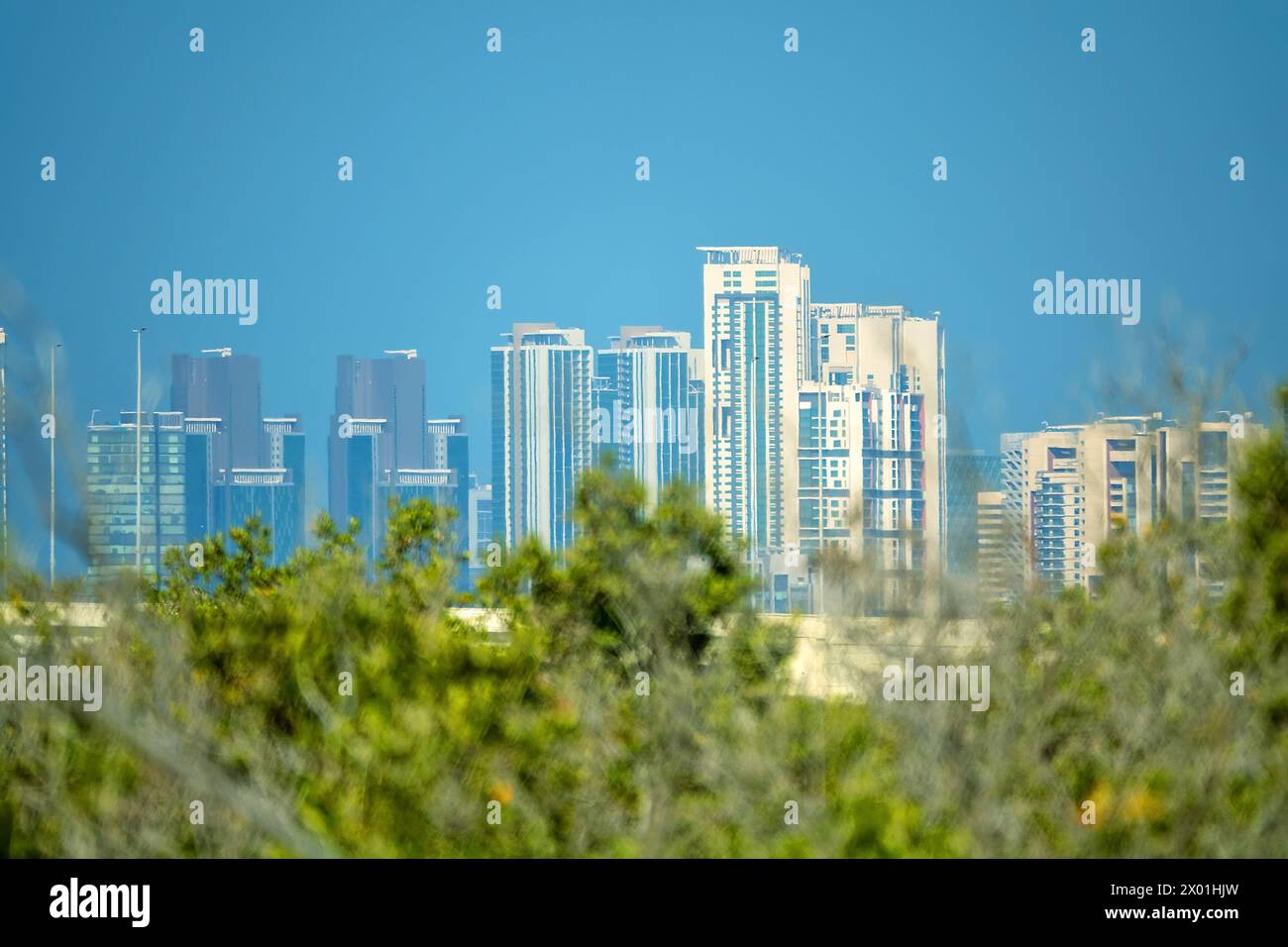 Mangroven im Persischen Golf. Vereinigte Arabische Emirate. Vor dem Hintergrund der Wolkenkratzer von Abu Dhabi Stockfoto
