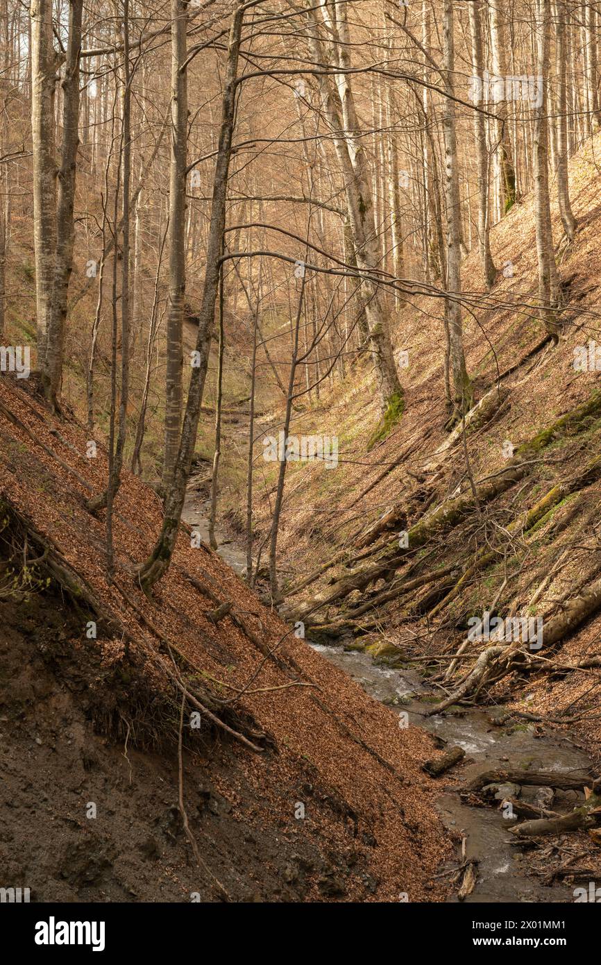 Nucsoara, Kreis Argeș, Muntenia, Rumänien Stockfoto