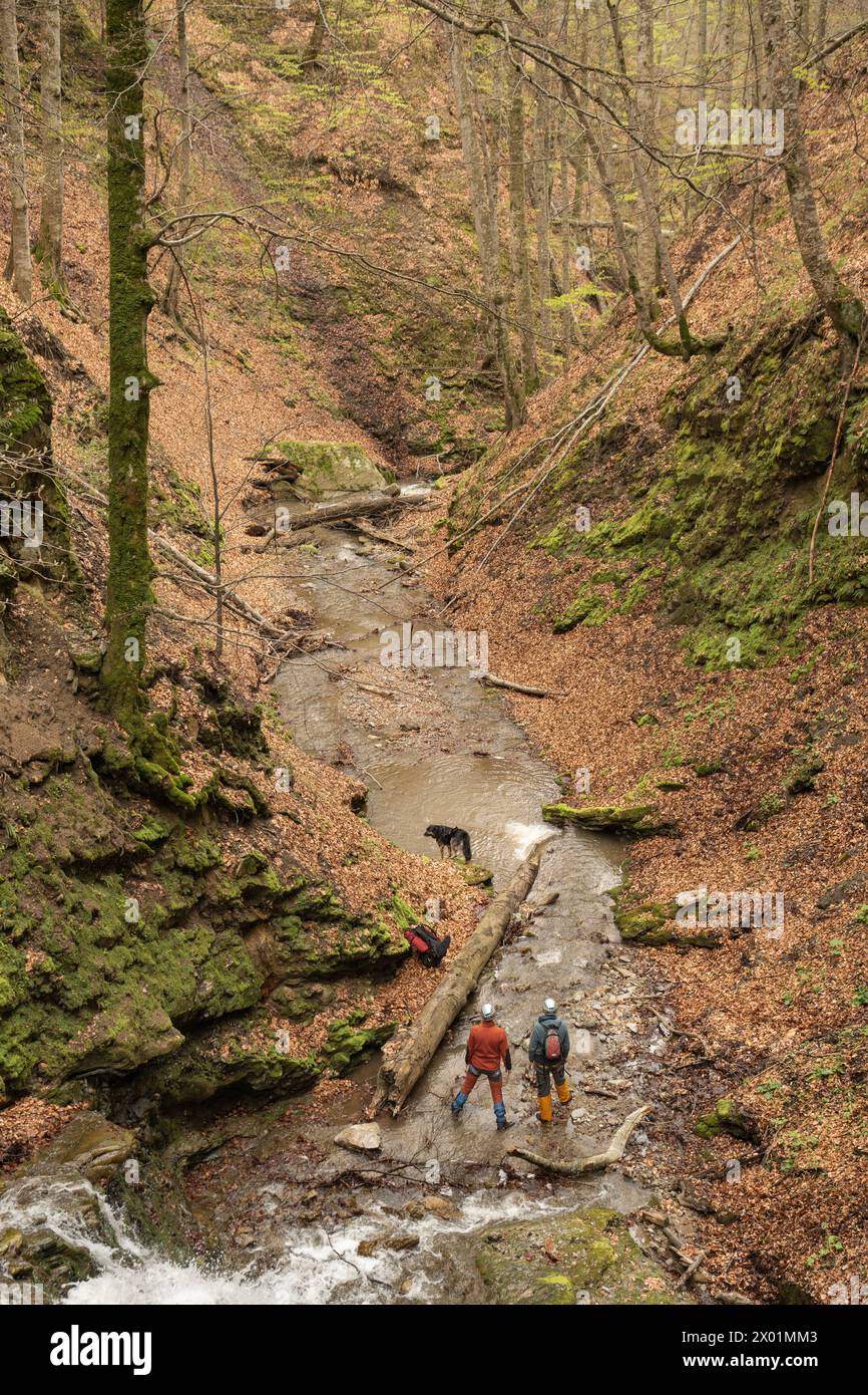 Nucsoara, Kreis Argeș, Muntenia, Rumänien Stockfoto