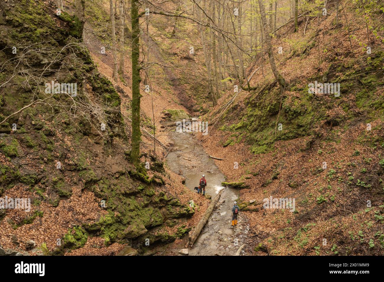 Nucsoara, Kreis Argeș, Muntenia, Rumänien Stockfoto