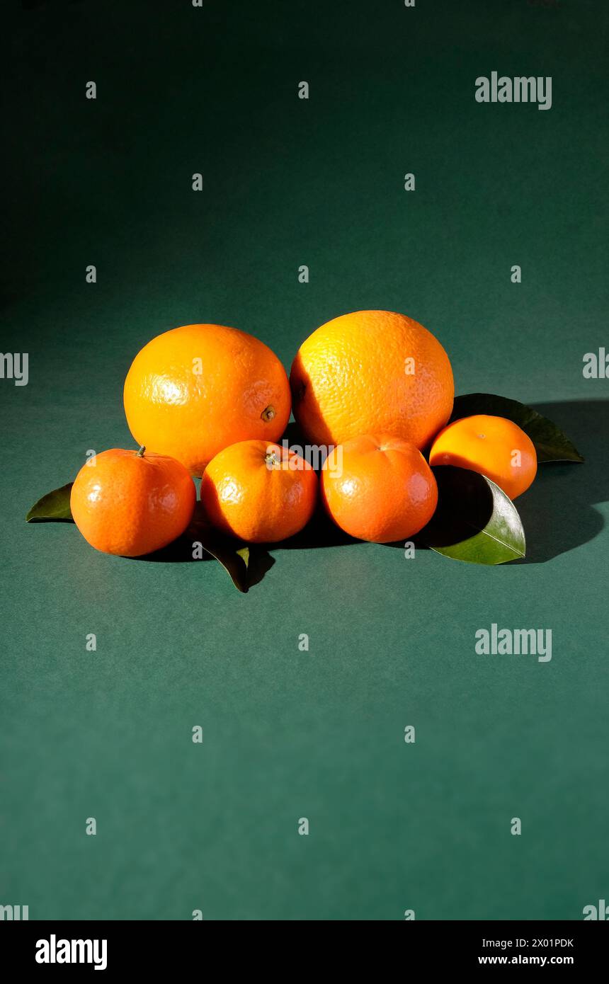 Große und kleine Orangen auf grünem Hintergrund Stockfoto
