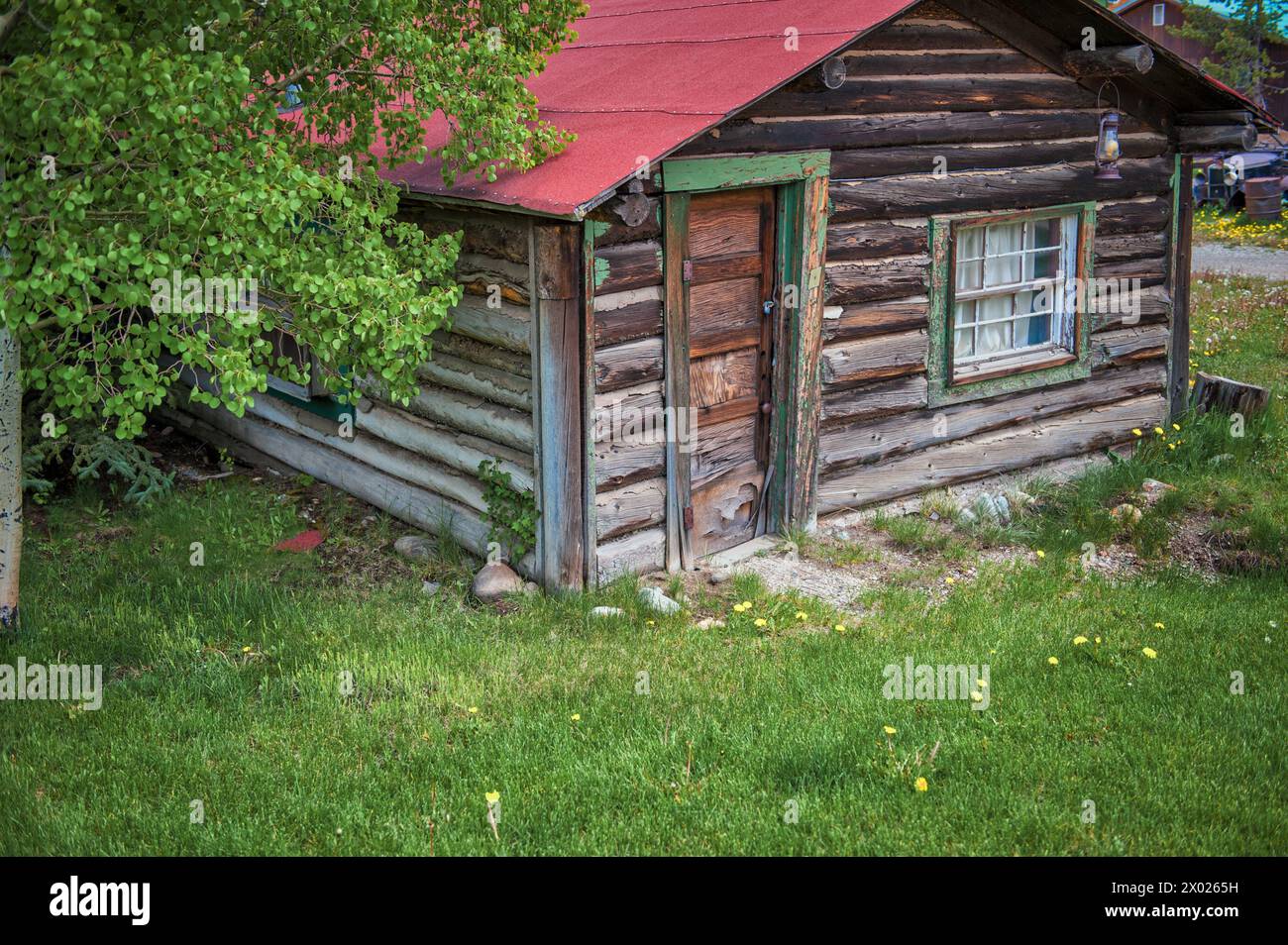 Eine malerische alte Blockhütte liegt eingebettet zwischen Grün und verkörpert den rustikalen Charme von Colorados Herzland und die Gelassenheit der Natur in den Bergen Stockfoto