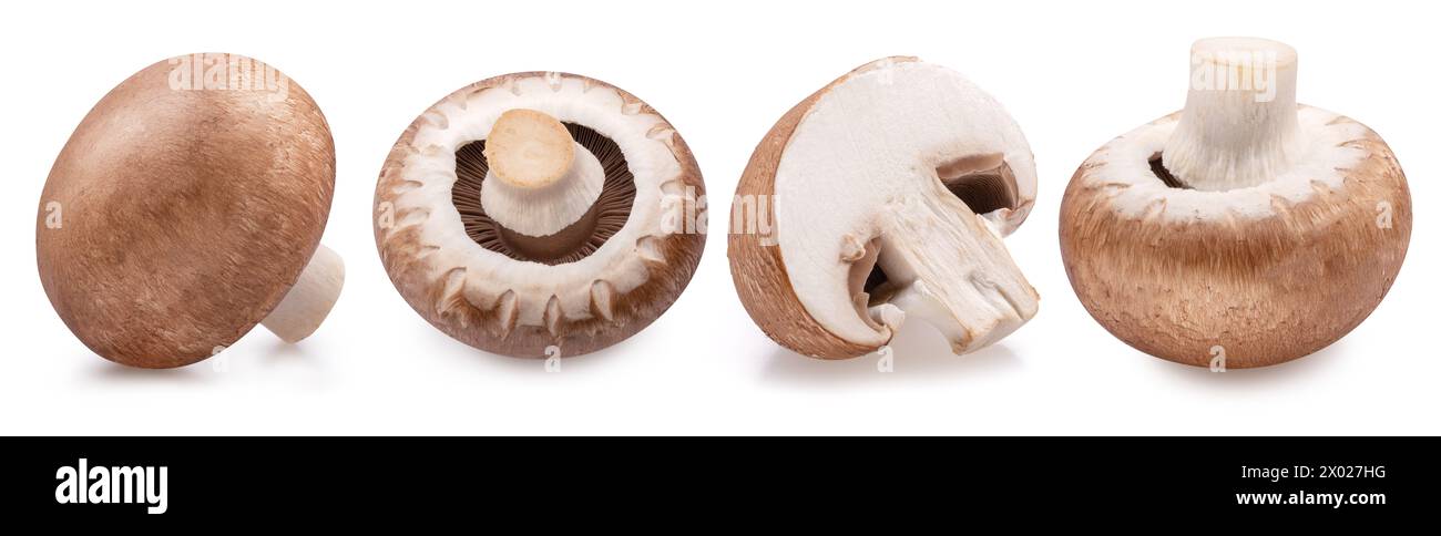 Champignons mit braunem Verschluss oder agaricus-Pilze, isoliert auf weißem Hintergrund. Nahaufnahme. Stockfoto