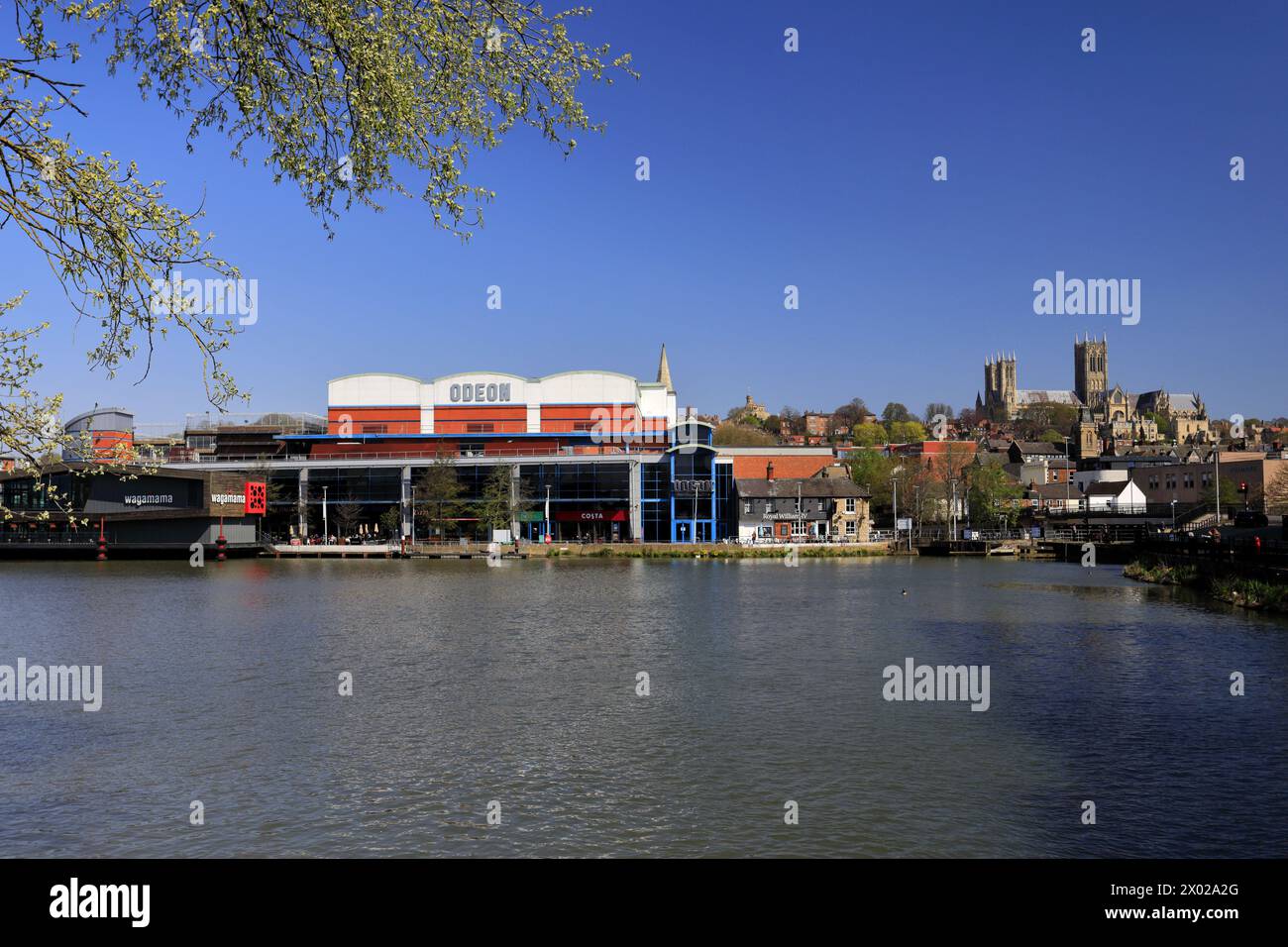 The Brayford Pool Waterfront; Lincoln Marina; Lincoln City, Lincolnshire County, England, UK Stockfoto