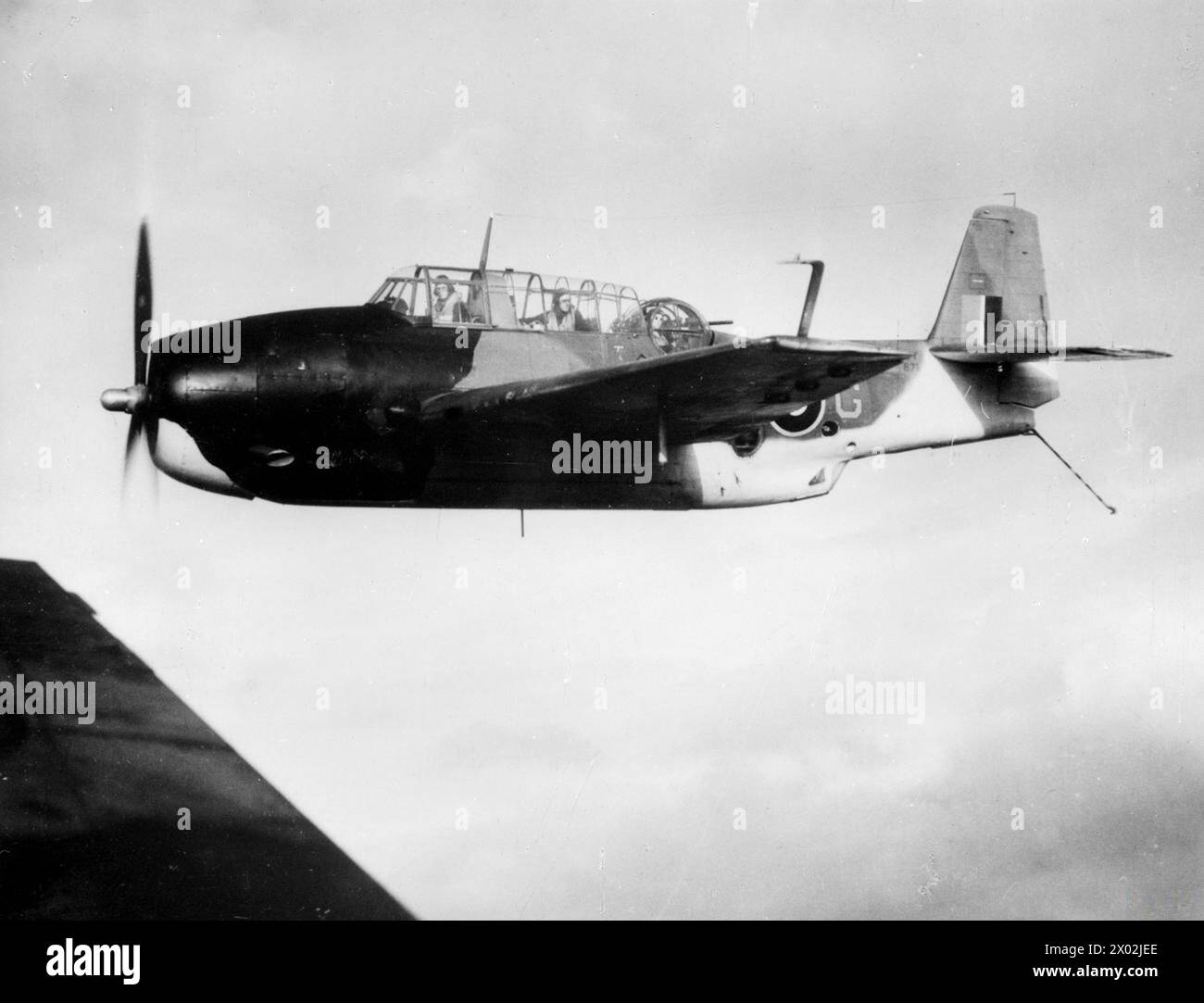 Am 11. Juli 1944 flog ein Avenger-Flugzeug mit D-Day-Markierungen vom Escort-Träger HMS Tracker. Stockfoto