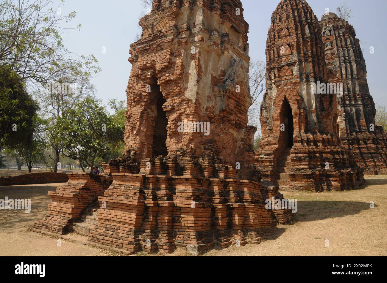 Wat Maha That, buddhistischer Tempel in Ayutthaya, UNESCO-Weltkulturerbe, Thailand, Südostasien, Asien Stockfoto