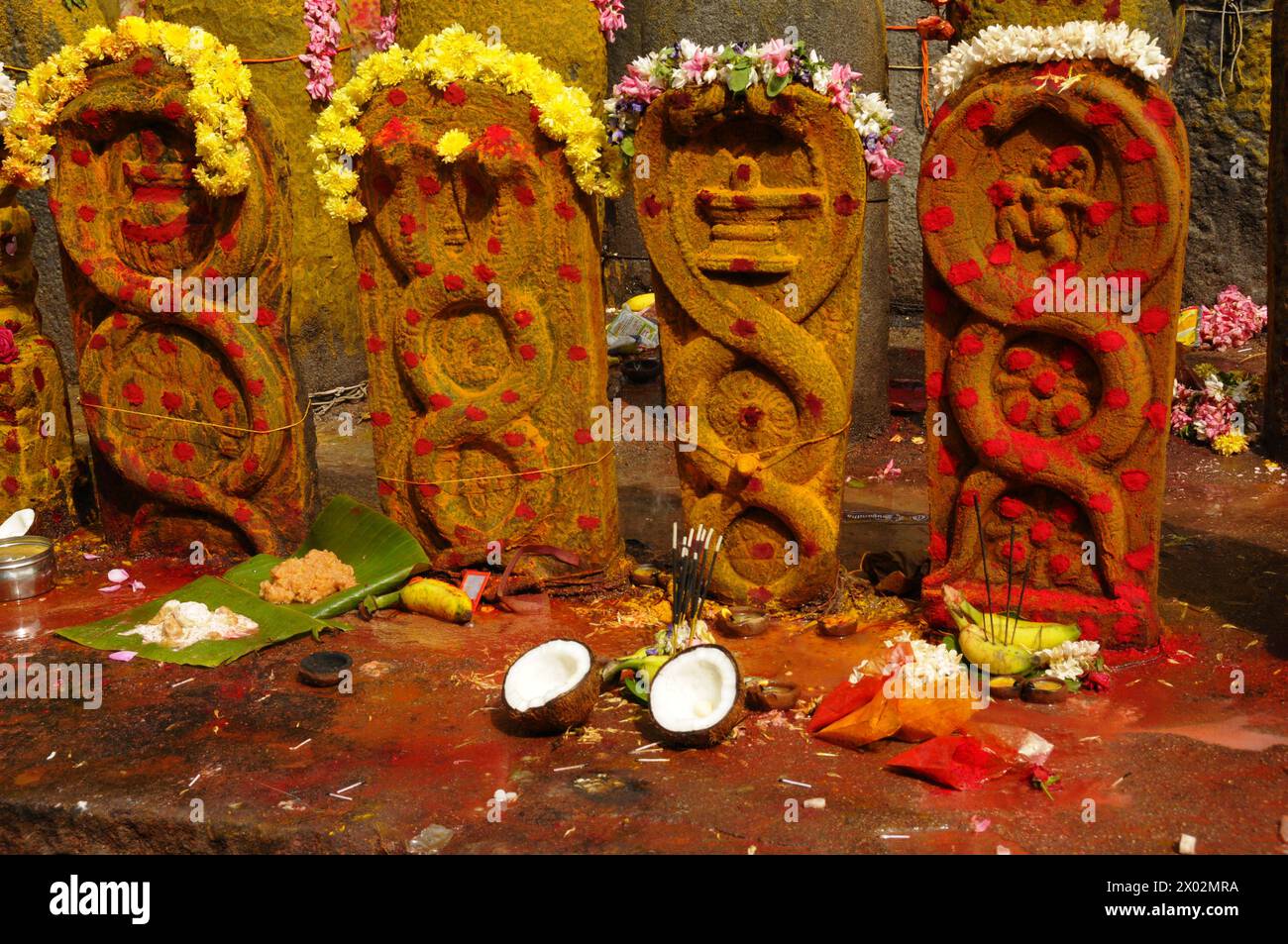 Vishnu-Schreine mit Opfergabe, Tiruchirappali, Tamil Nadu, Indien, Asien Stockfoto