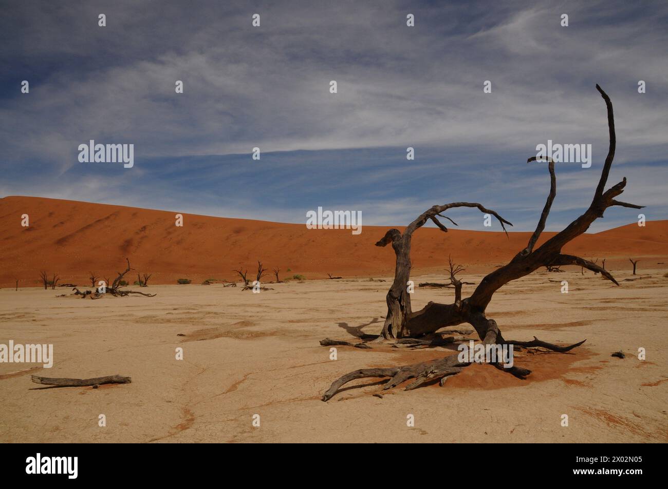 Dead Vlei, Sossusvlei, Namib-Wüste, Namibia, Afrika Stockfoto