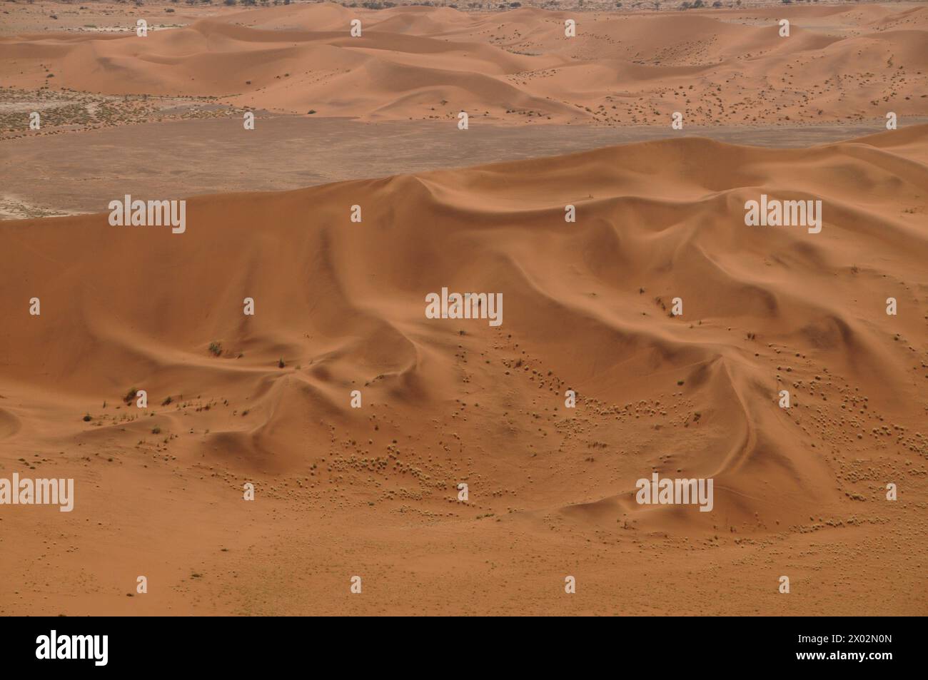 Dead Vlei, Sossusvlei, Namib-Wüste, Namibia, Afrika Stockfoto