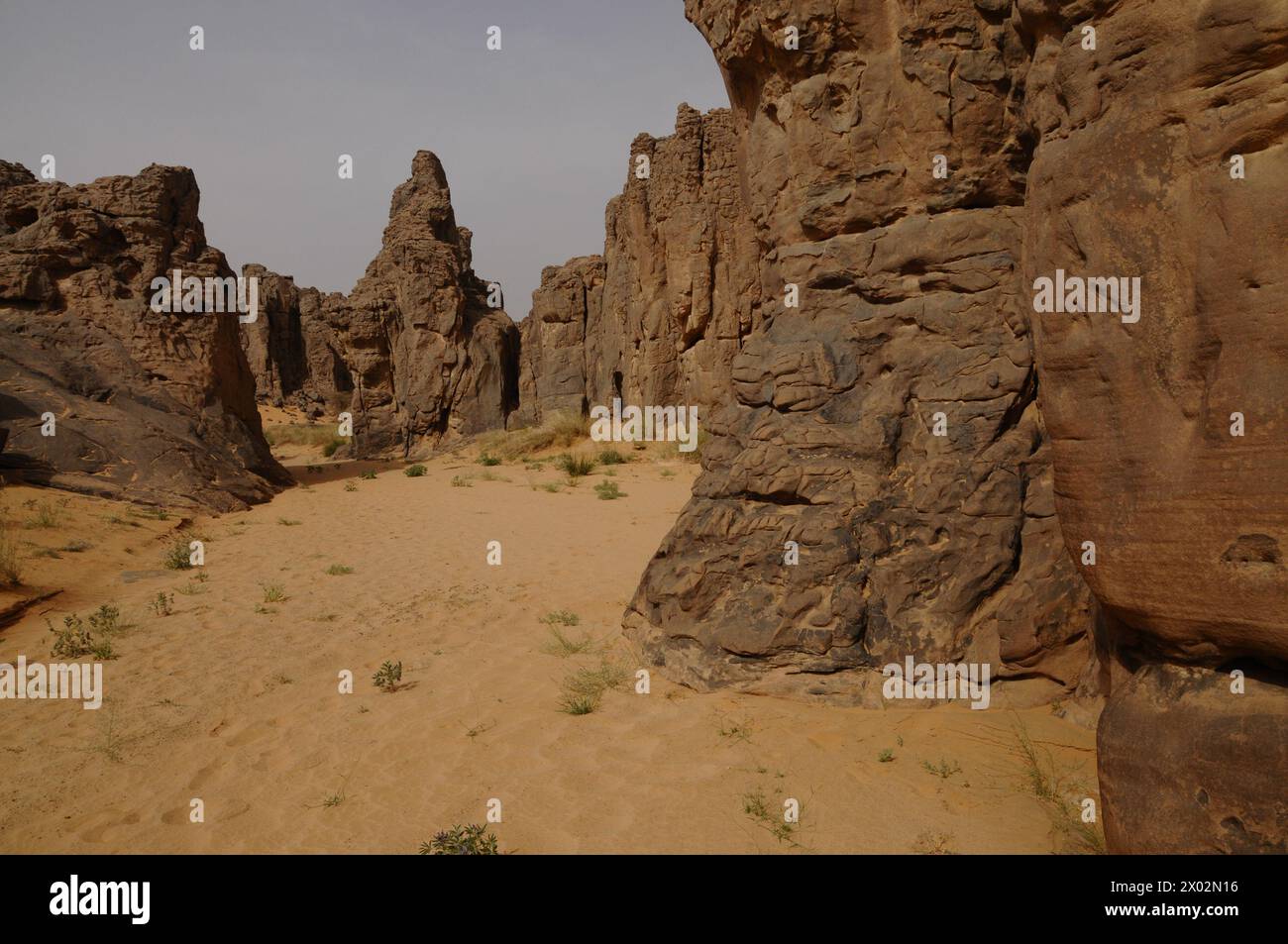Bizarre Welt der seltsamen Felsformationen von Meghedet (Magatgat) (Meggedet), Fezzan, Libyen, Nordafrika, Afrika Stockfoto