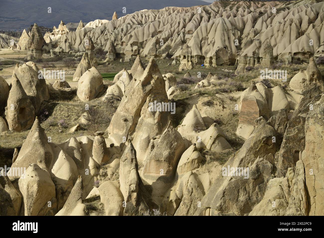 Felsformationen und Höhlenhäuser in Goreme, Kappadokien, Anatolien, Türkei, Kleinasien, Asien Stockfoto