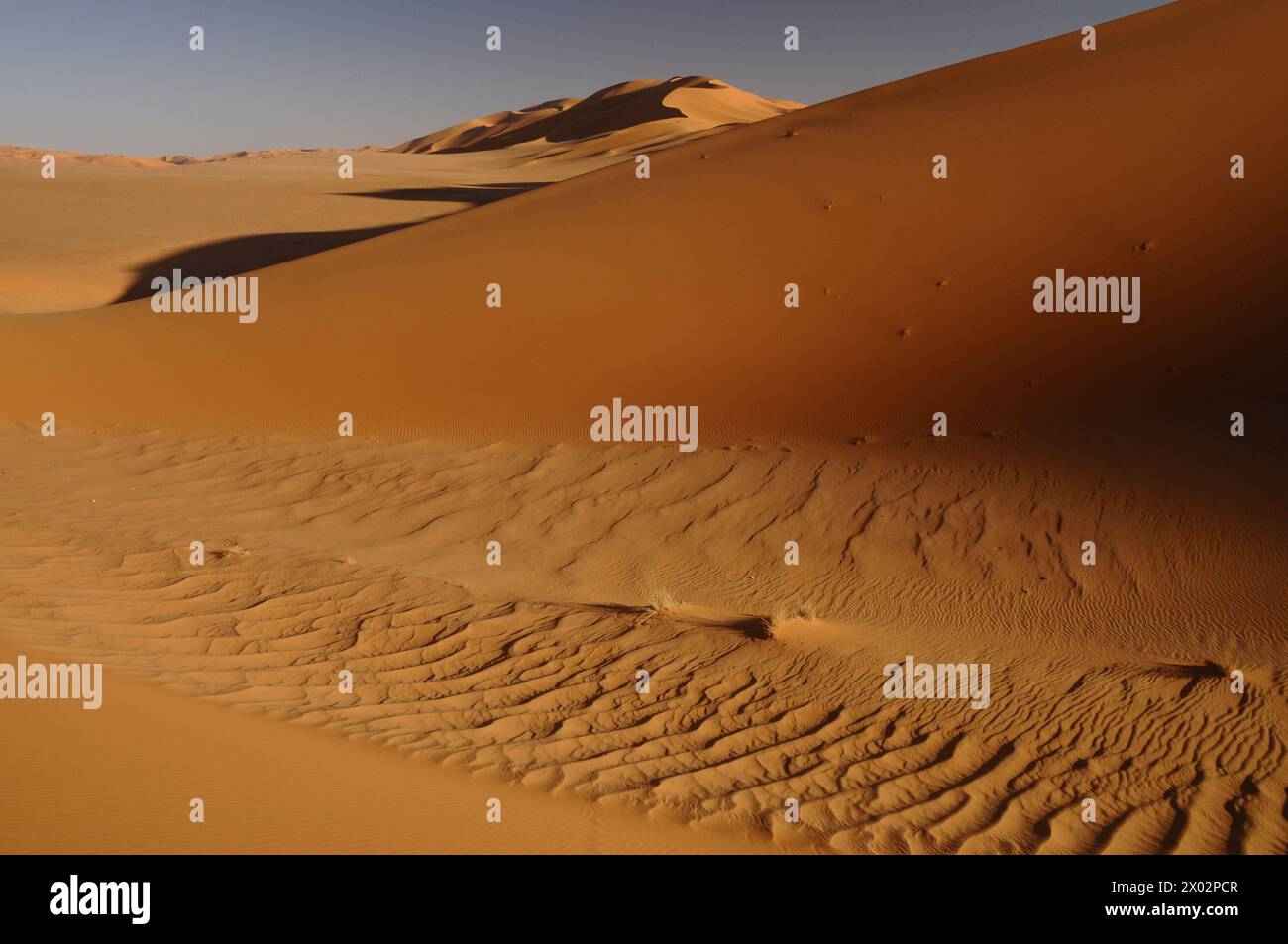 Malerische orange Dünen von Ubari, Sahara Wüste, Libyen, Nordafrika, Afrika Stockfoto