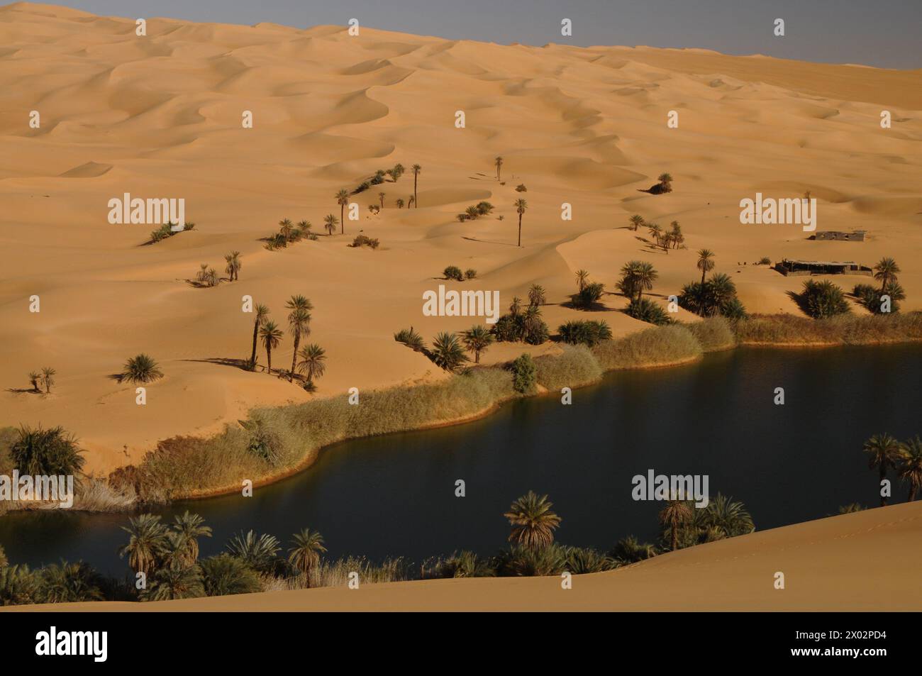 Malerische orange Dünen der Ubari Oase, Sahara Wüste, Libyen, Nordafrika, Afrika Stockfoto Malerische orange Dünen der Ubari Oase, Sahara Wüste, Libyen, Nordafrika, Afrika Stockfoto