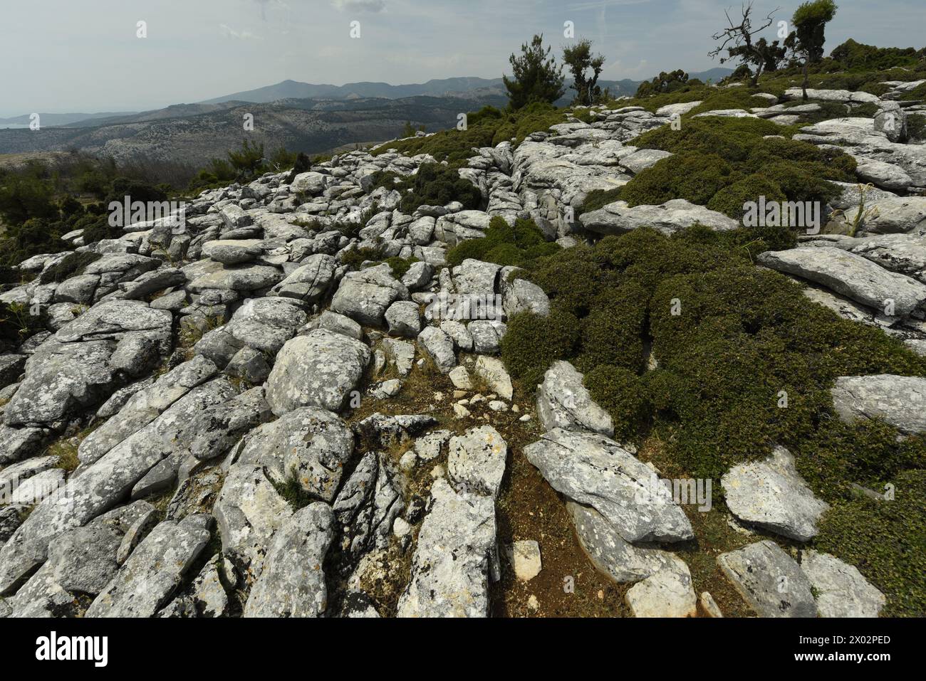 Marmorlandschaft von Thassos, griechischen Inseln, Griechenland, Europa Stockfoto