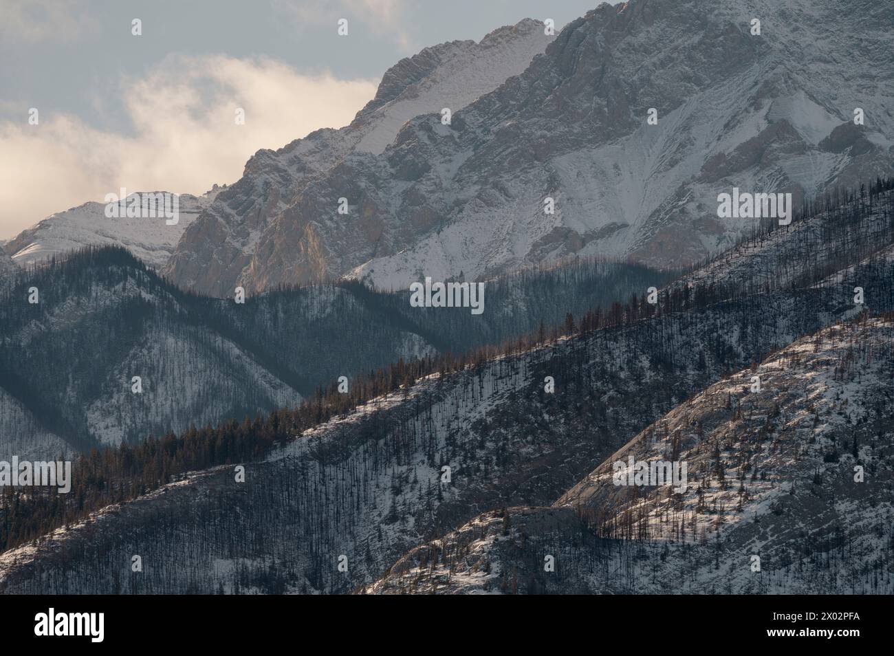 Schneebedeckte Berge und Abendlicht, Jasper-Nationalpark, UNESCO-Weltkulturerbe, Alberta, Kanadische Rocky Mountains, Kanada, Nordamerika Stockfoto