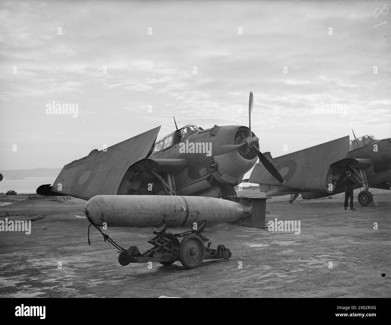 Zwischen dem 21. Und 23. Oktober 1943 trat der in den USA gebaute Torpedobomber Tarpon mit dem Fleet Air Arm in Dienst, wobei ein Übungstorpedo vor einem Scheinangriff im Morgengrauen gezeigt wurde. Stockfoto