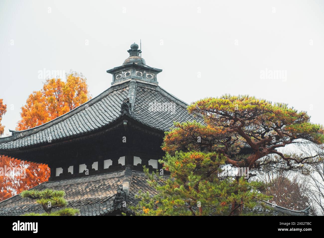 Tofuku-JI buddhistisches Tempeldach, Kyoto, Honshu, Japan, Asien Stockfoto