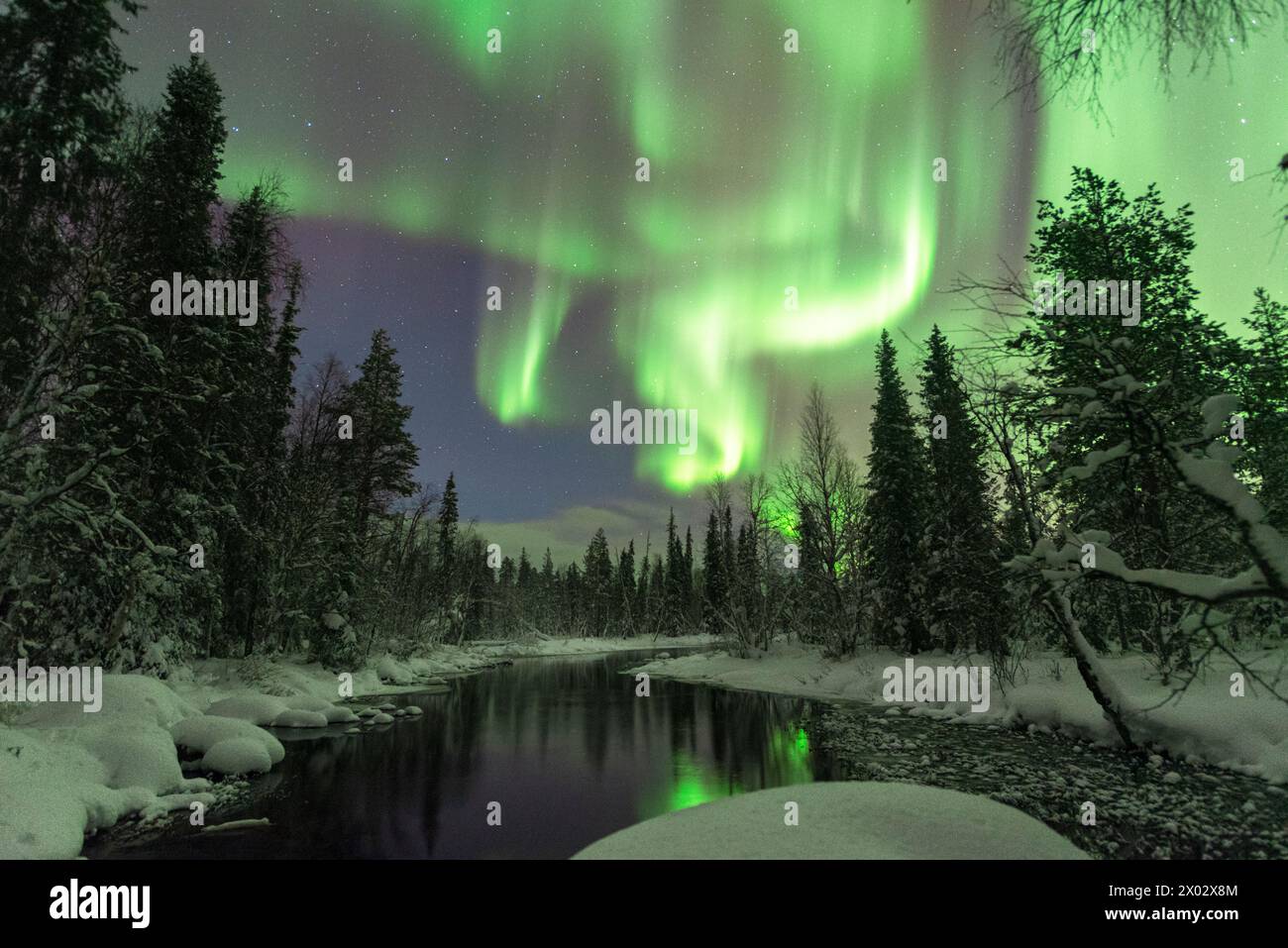 Nordlichter (Aurora Borealis) reflektieren im ruhigen Wasser eines Flusses, sternenklaren Himmel über dem mit Schnee bedeckten Wald, Akaslompolo Stockfoto