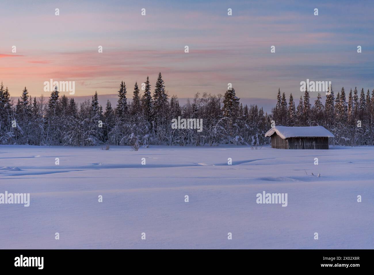 Isoliertes hölzernes Ferienhaus bedeckt mit dickem Schnee in der arktischen Umgebung bei Dämmerung im Winter, Tjautjas, Gemeinde Gallivare Stockfoto