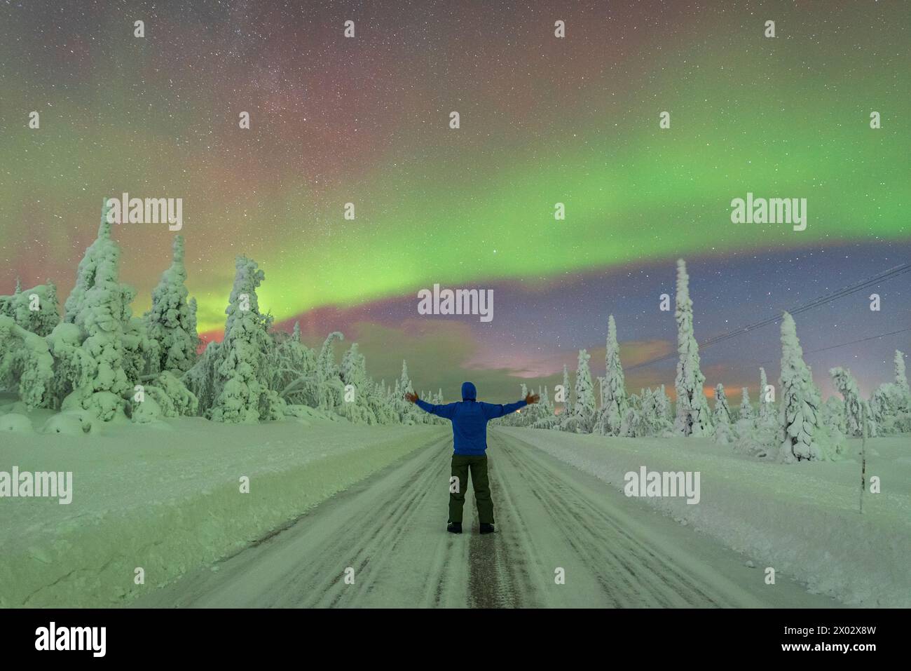 Rückansicht eines Menschen mit ausgestreckten Armen mitten auf einer leeren, rutschigen Straße, die den arktischen Wald durchquert und dabei die Polarlichter bewundert Stockfoto