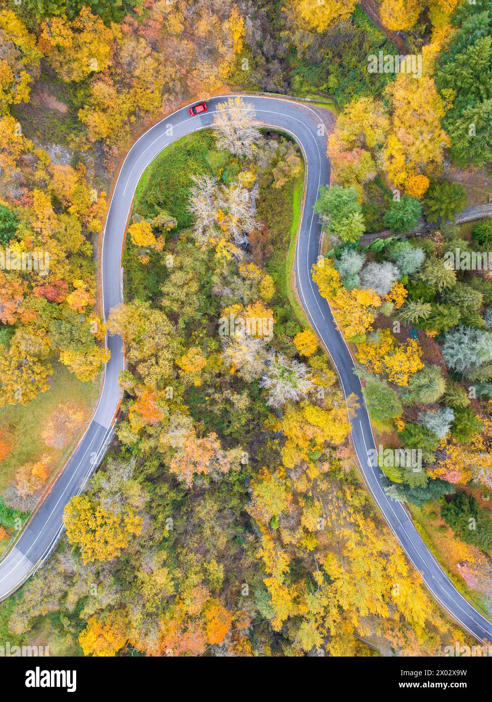 Ein Auto, das an einem Herbsttag die Bergstraße entlang fährt, der Nationalpark Toskana-Emilian Apennin, Toskana, Italien, Europa Stockfoto