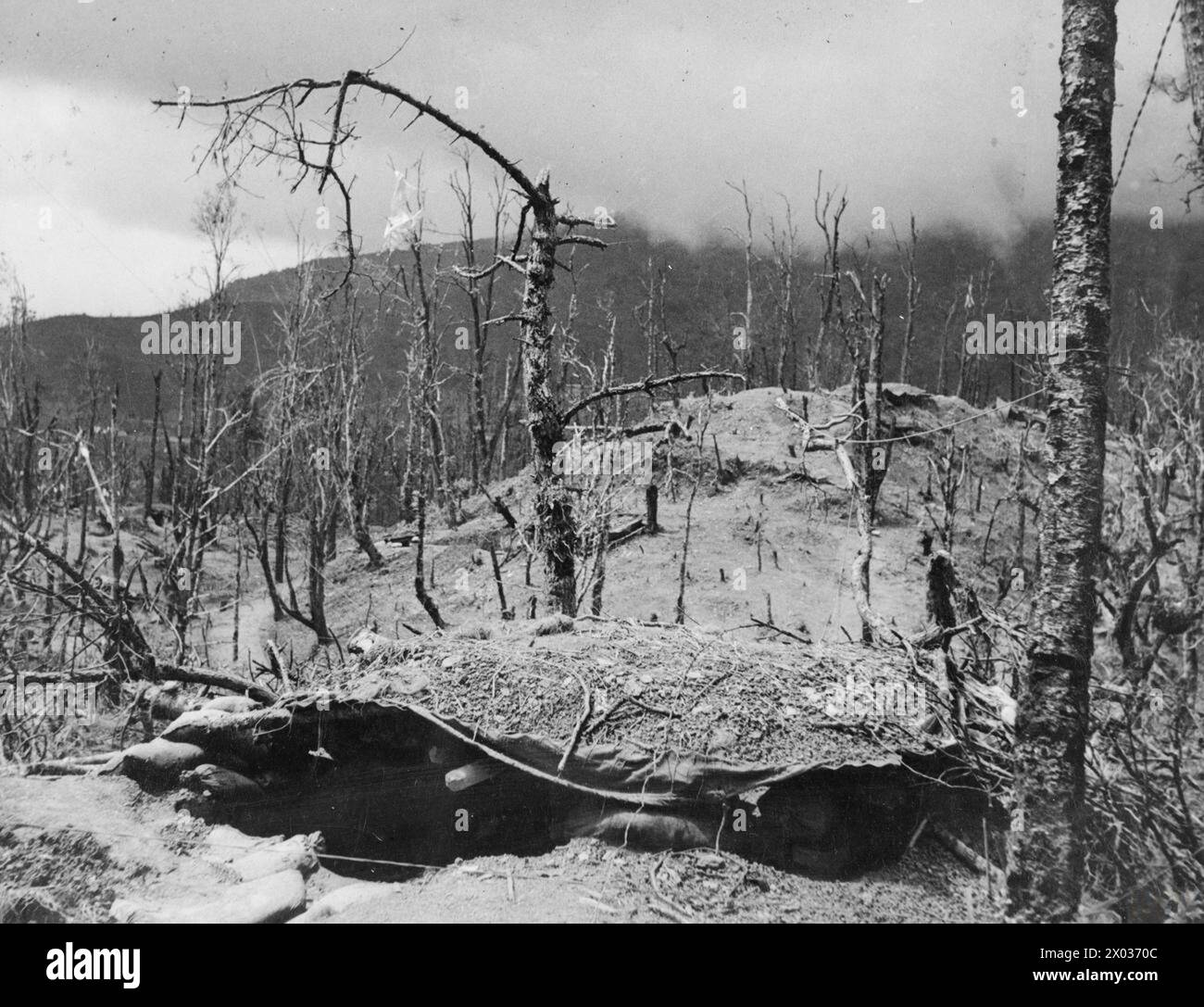DIE KAMPAGNE IN BIRMA, 1944. - Britische Position auf dem Garrison Hill, mit Blick auf Kuki Piquet, nach der Schlacht von Kohima, Juni 1944. Beachten Sie den Fallschirm, der vom Muschelbaum hängt Stockfoto