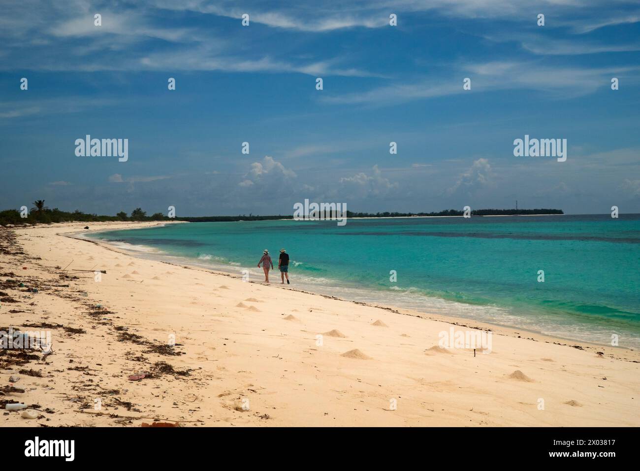 Der Strand, die Assumption Island, die Seychellen, der Indische Ozean Stockfoto