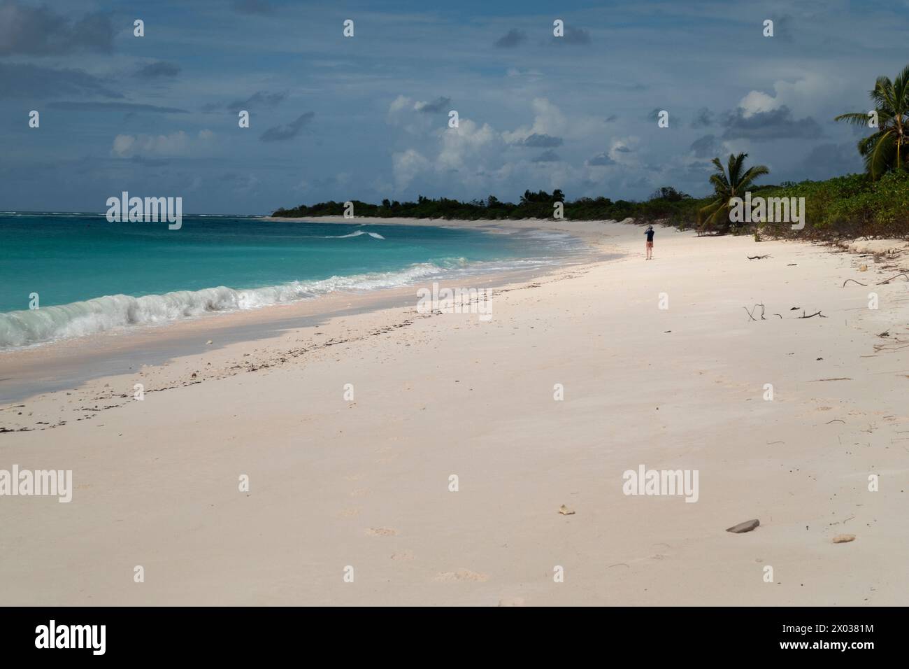 Strand, Bijoutier Island, Farquhar Atoll, Seychellen, Indischer Ozean Stockfoto