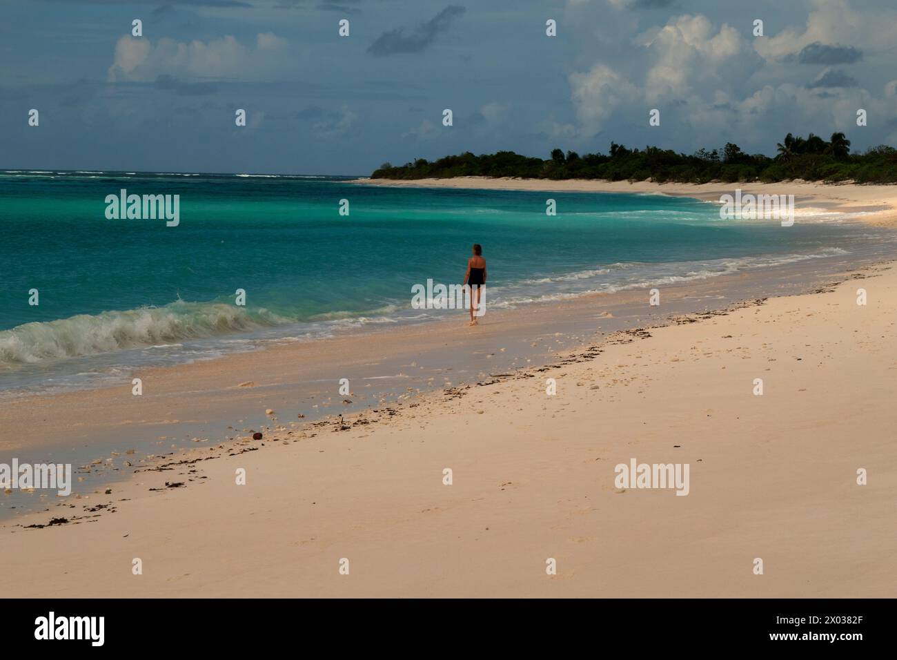 Strand, Bijoutier Island, Farquhar Atoll, Seychellen, Indischer Ozean Stockfoto