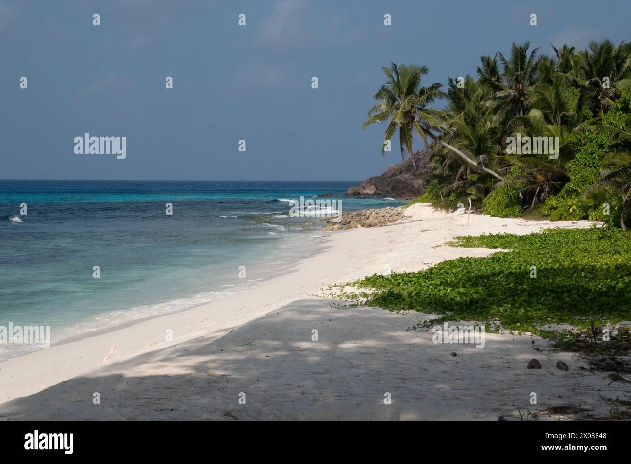 Strand, Aride, Seychellen, Indischer Ozean Stockfoto