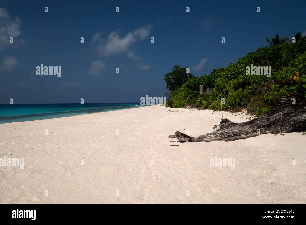 Strand, Aride, Seychellen, Indischer Ozean Stockfoto
