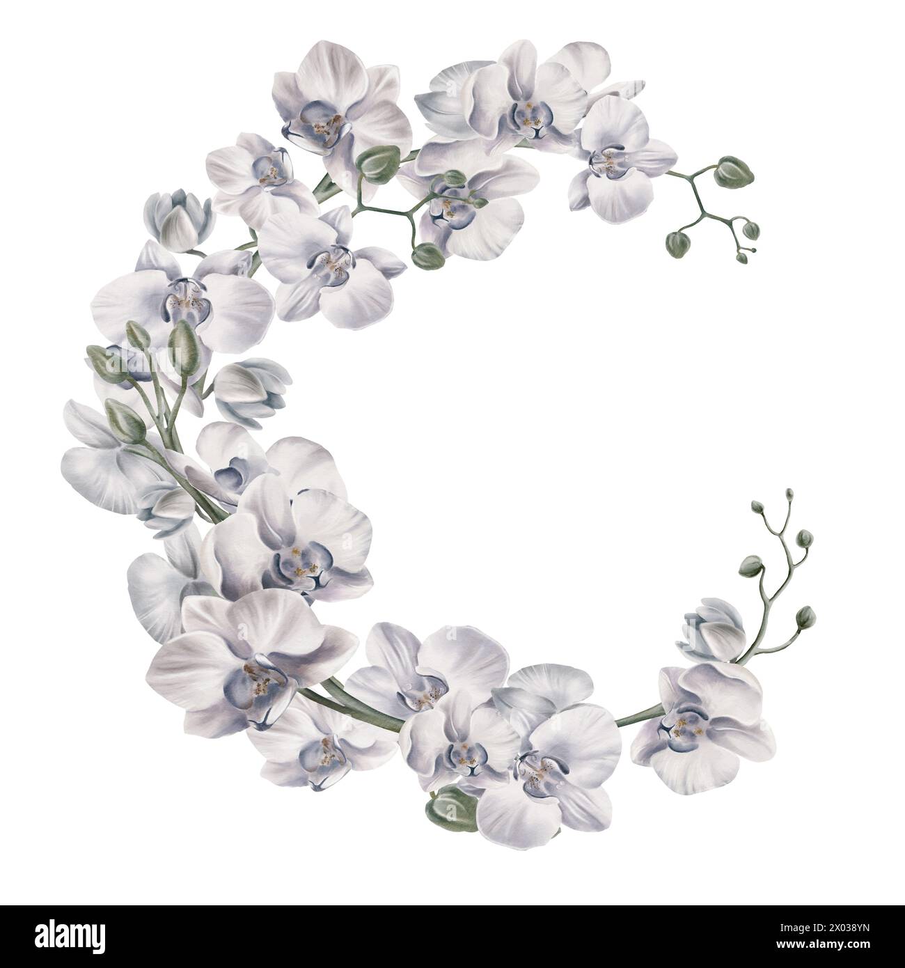Halbrunder Rahmen aus weißen Orchideenblüten zur Dekoration Ihrer druckbaren Motive. Tropische Pflanzen. Aquarellabbildung. Für Einladungen, Hochzeiten Stockfoto
