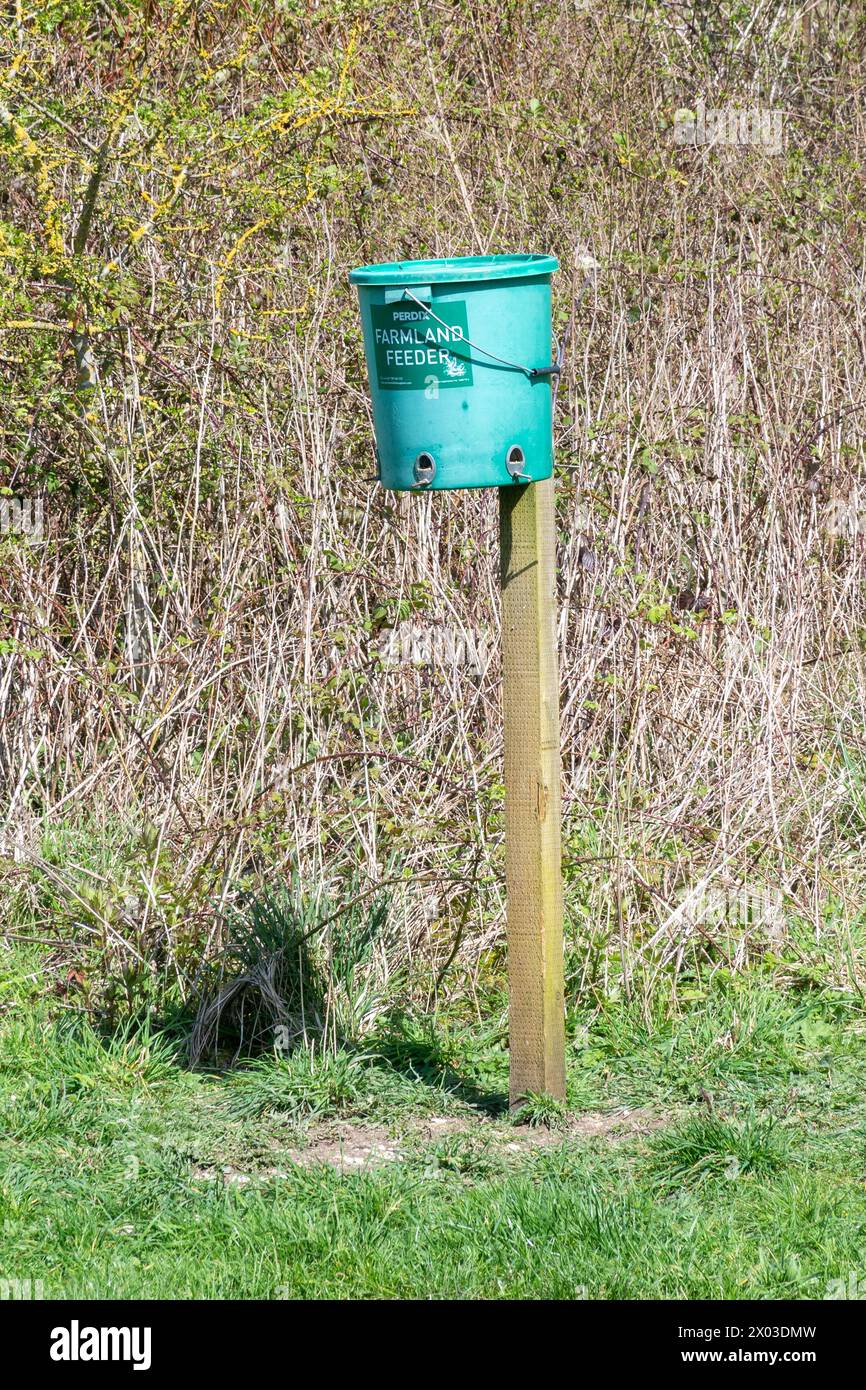 Futtermittel für Farmvögel, ein Futterbehälter für Vögel an einem Pfosten zur Fütterung von Farmvögeln zur Erhaltung seltener Arten, South Downs, West Sussex, England, Vereinigtes Königreich Stockfoto