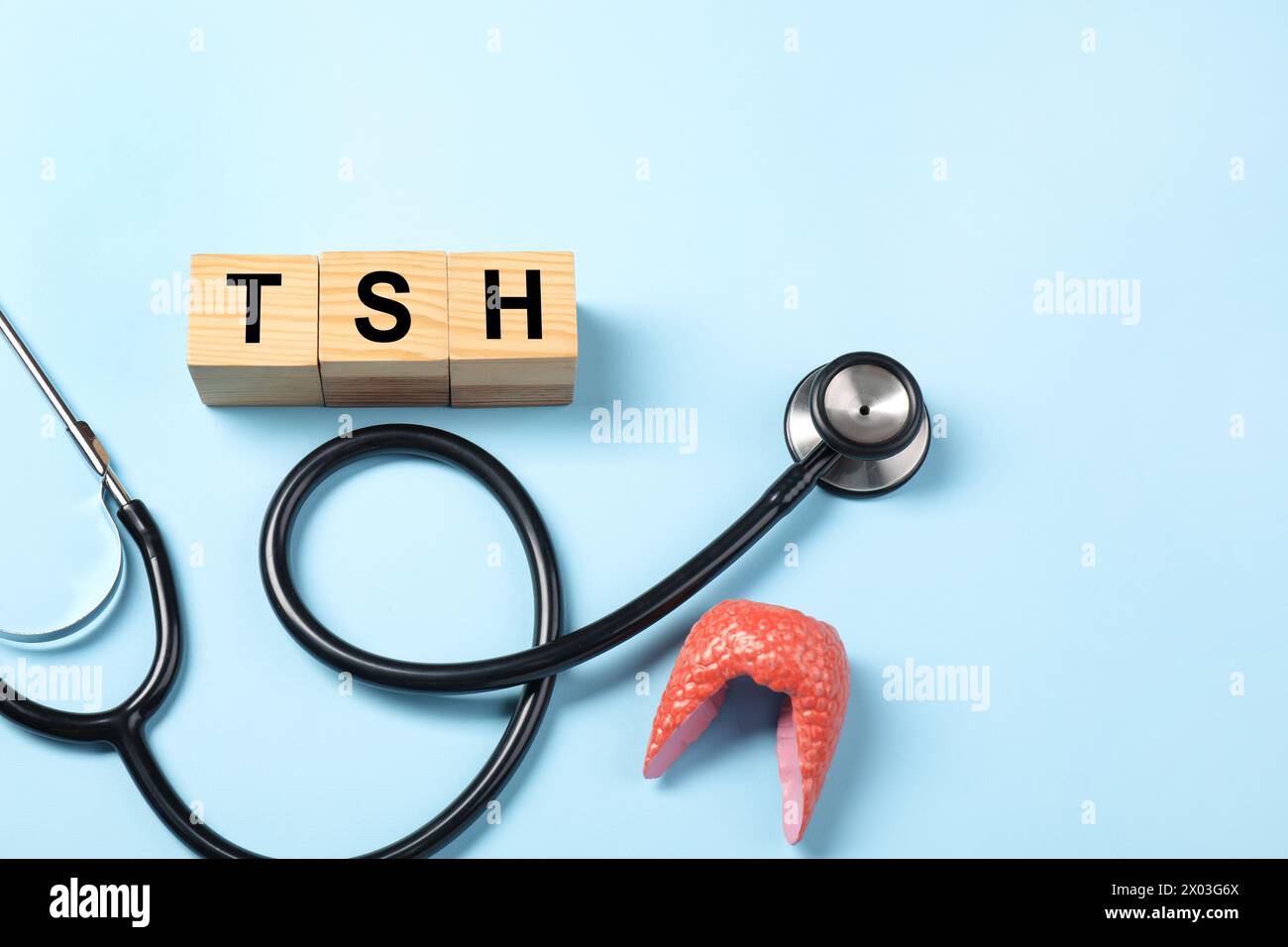 Endokrinologie. Stethoskop, Holzwürfel mit Schilddrüsenhormonen und Modell der Drüse auf hellblauem Hintergrund Stockfoto