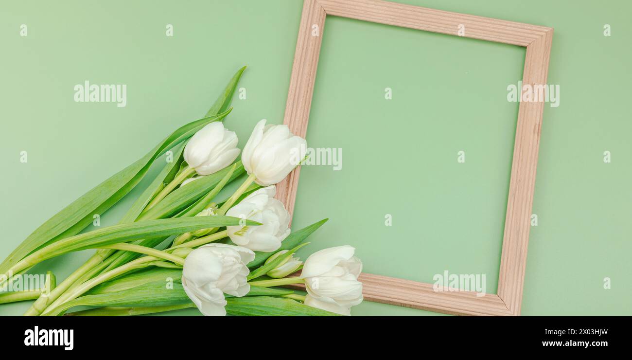 Weiße Tulpen und Holzrahmen auf pastellgrünem Hintergrund. Blühende Blumen, festliches Konzept für Muttertag oder Valentinstag. Grußkarte, Osten Stockfoto