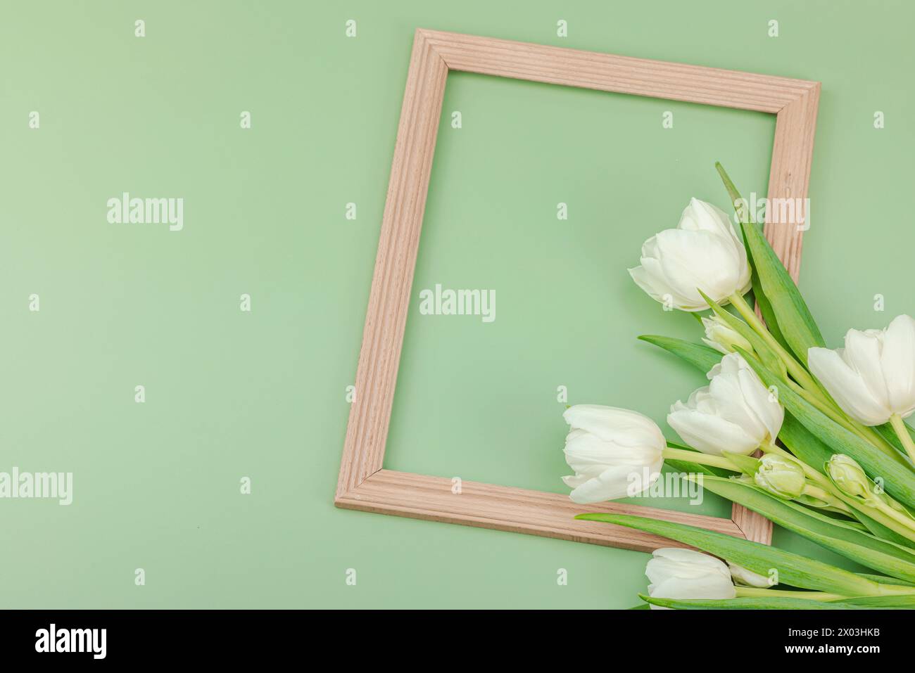 Weiße Tulpen und Holzrahmen auf pastellgrünem Hintergrund. Blühende Blumen, festliches Konzept für Muttertag oder Valentinstag. Grußkarte, Osten Stockfoto