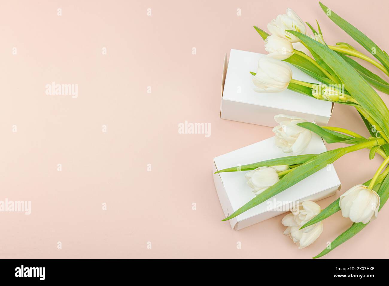 Geschenkkonzept. Eingewickelte Überraschungsbox, weiße Tulpen auf Aprikosenhintergrund. Alles Gute zum Geburtstag, Valentinstag oder Muttertag, Hochzeit, Blick von oben Stockfoto