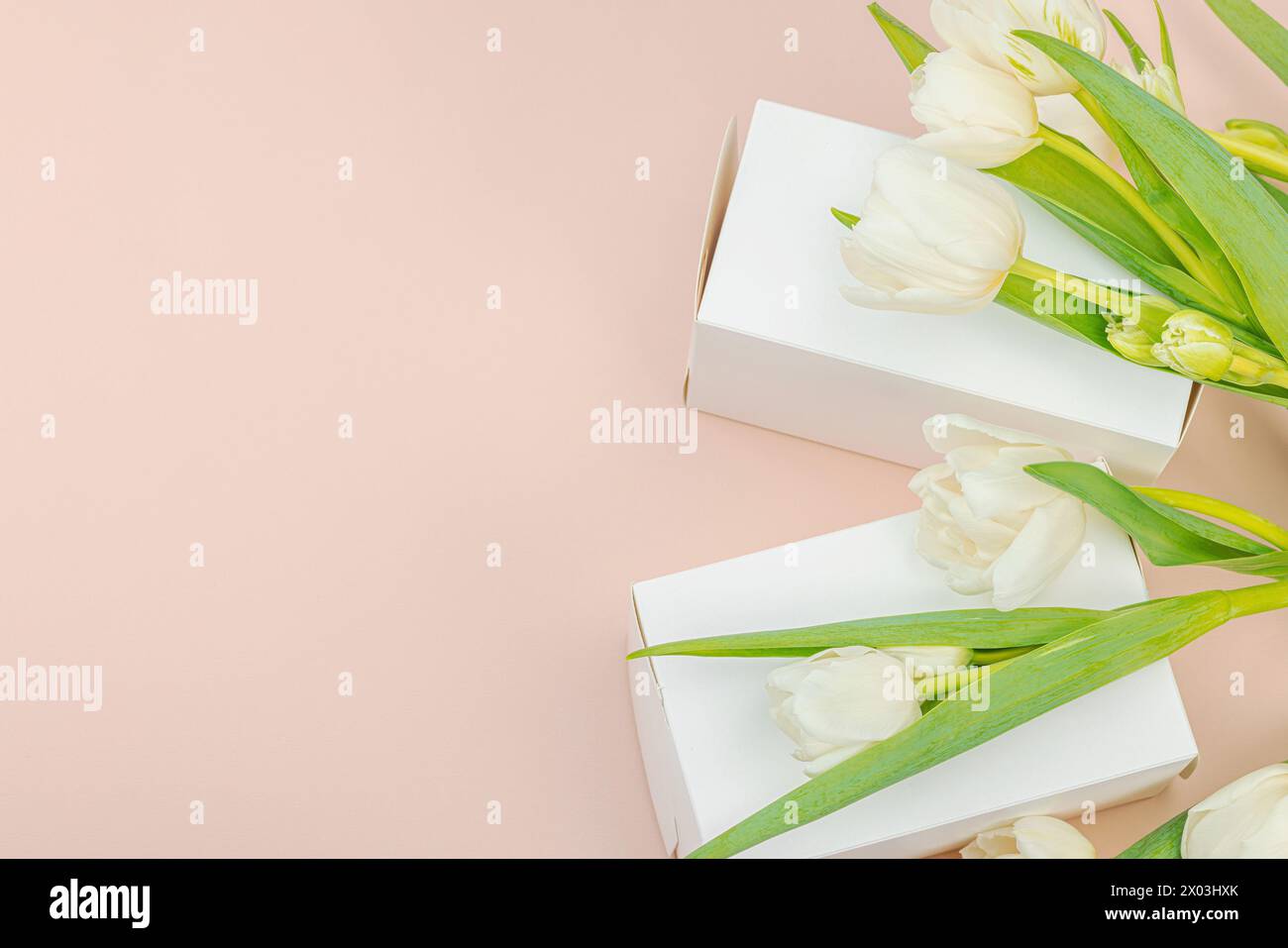 Geschenkkonzept. Eingewickelte Überraschungsbox, weiße Tulpen auf Aprikosenhintergrund. Alles Gute zum Geburtstag, Valentinstag oder Muttertag, Hochzeit, Blick von oben Stockfoto