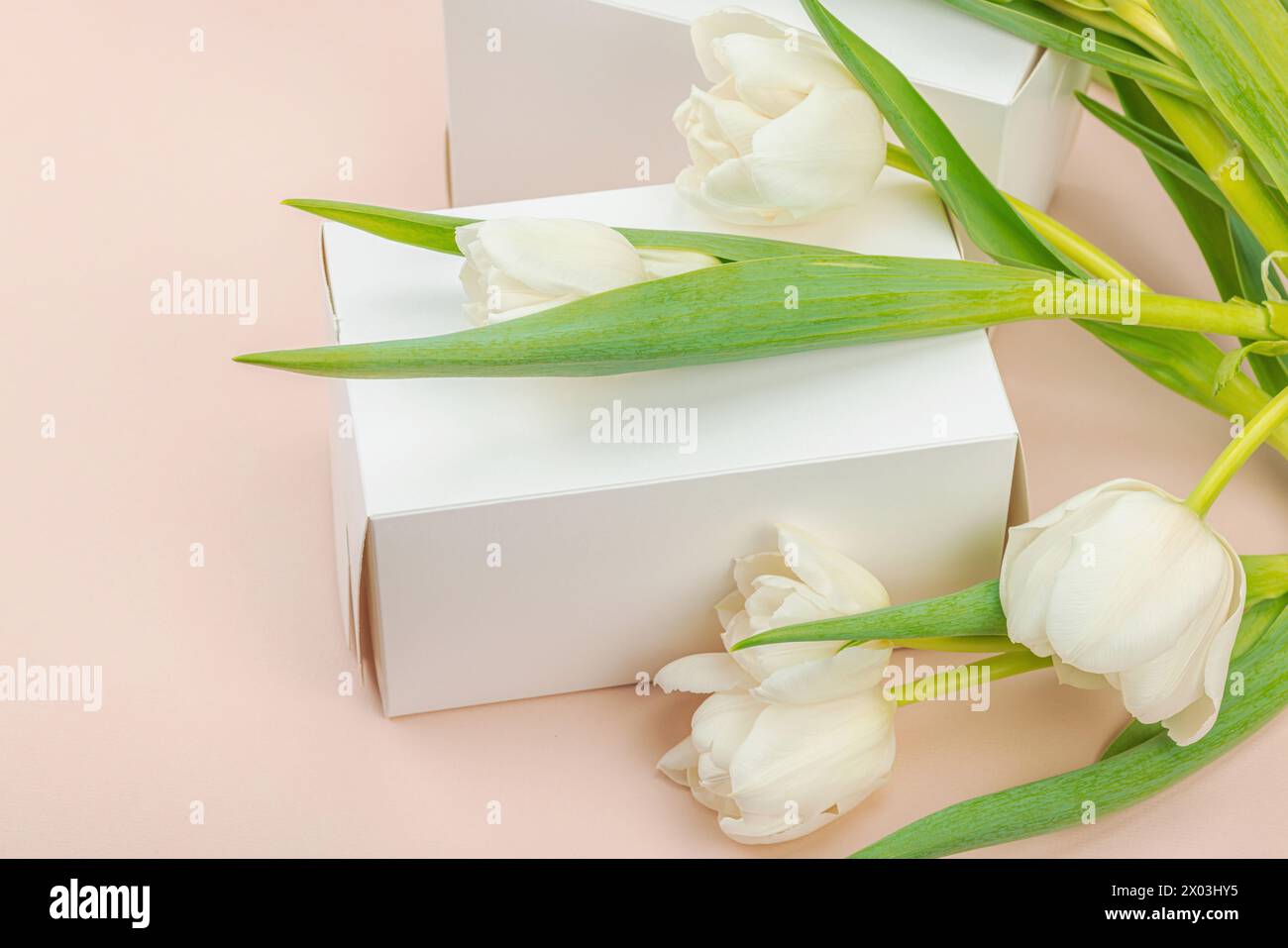 Geschenkkonzept. Eingewickelte Überraschungsbox, weiße Tulpen auf Aprikosenhintergrund. Alles Gute zum Geburtstag, Valentinstag oder Muttertag, Hochzeit, Nahaufnahme Stockfoto