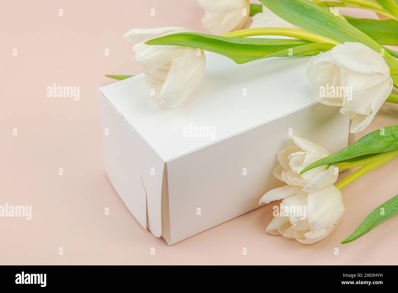 Geschenkkonzept. Eingewickelte Überraschungsbox, weiße Tulpen auf Aprikosenhintergrund. Alles Gute zum Geburtstag, Valentinstag oder Muttertag, Hochzeit, Kopierraum Stockfoto