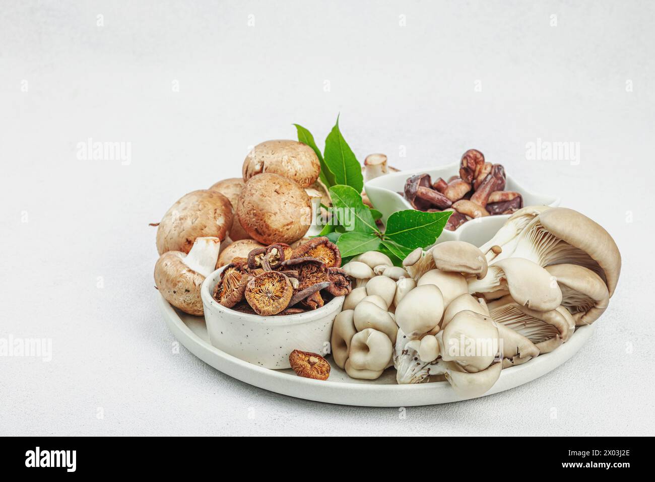 Auswahl an verschiedenen Pilzen - frisch, getrocknet und eingelegt. Austernpilze, brauner Cremini, Stachelschweine und Shiitake. Gesunde Zutat zum Kochen vega Stockfoto