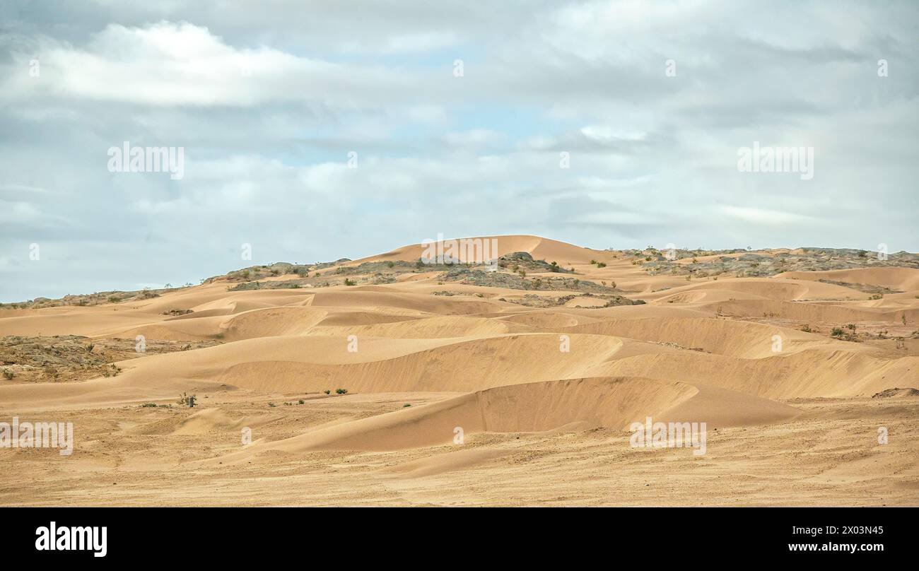 Barcham Dunes in der Namiib-Wüste Verbotszone oder Sperrgebeit bei Luderitz. Stockfoto