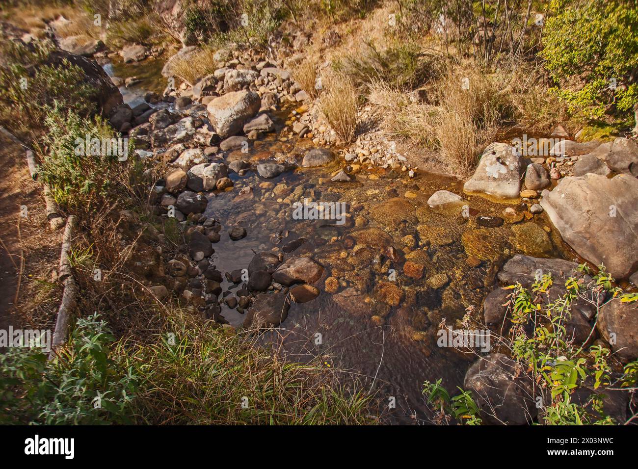 Drakensberg Mountain Stream 15641 Stockfoto