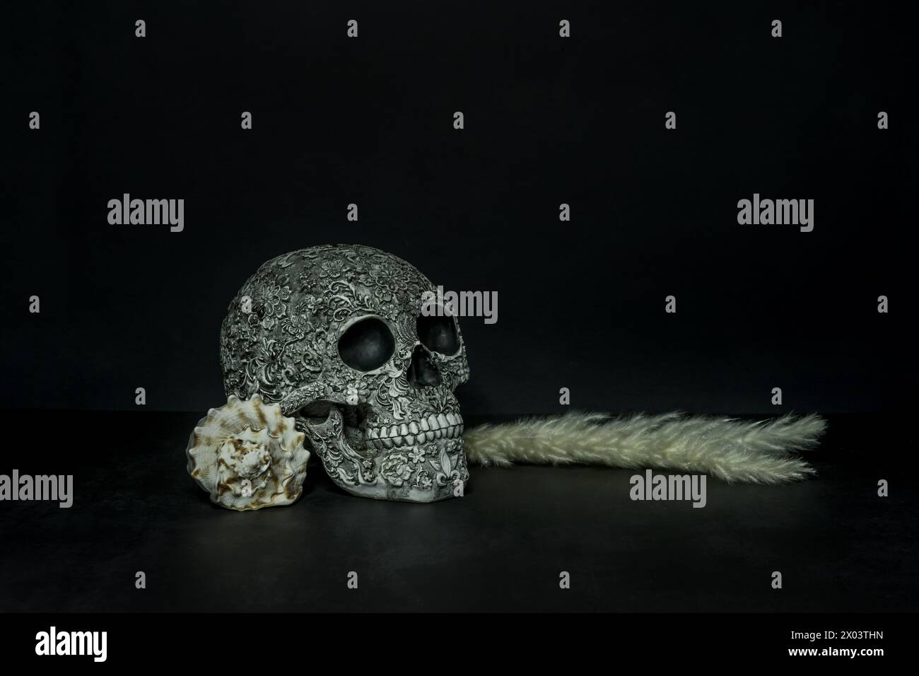 Weißer Schädel mit Basreliefs auf einem schwarzen Tisch neben einer Muschel und einigen toten Pflanzen Stockfoto