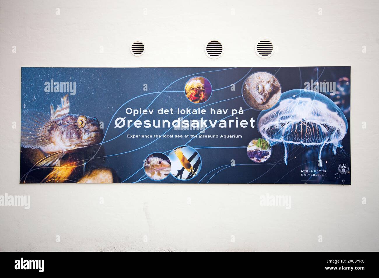 Das Øresund Aquarium (Øresundsakvariet)-Schild in Helsingor, Dänemark Stockfoto